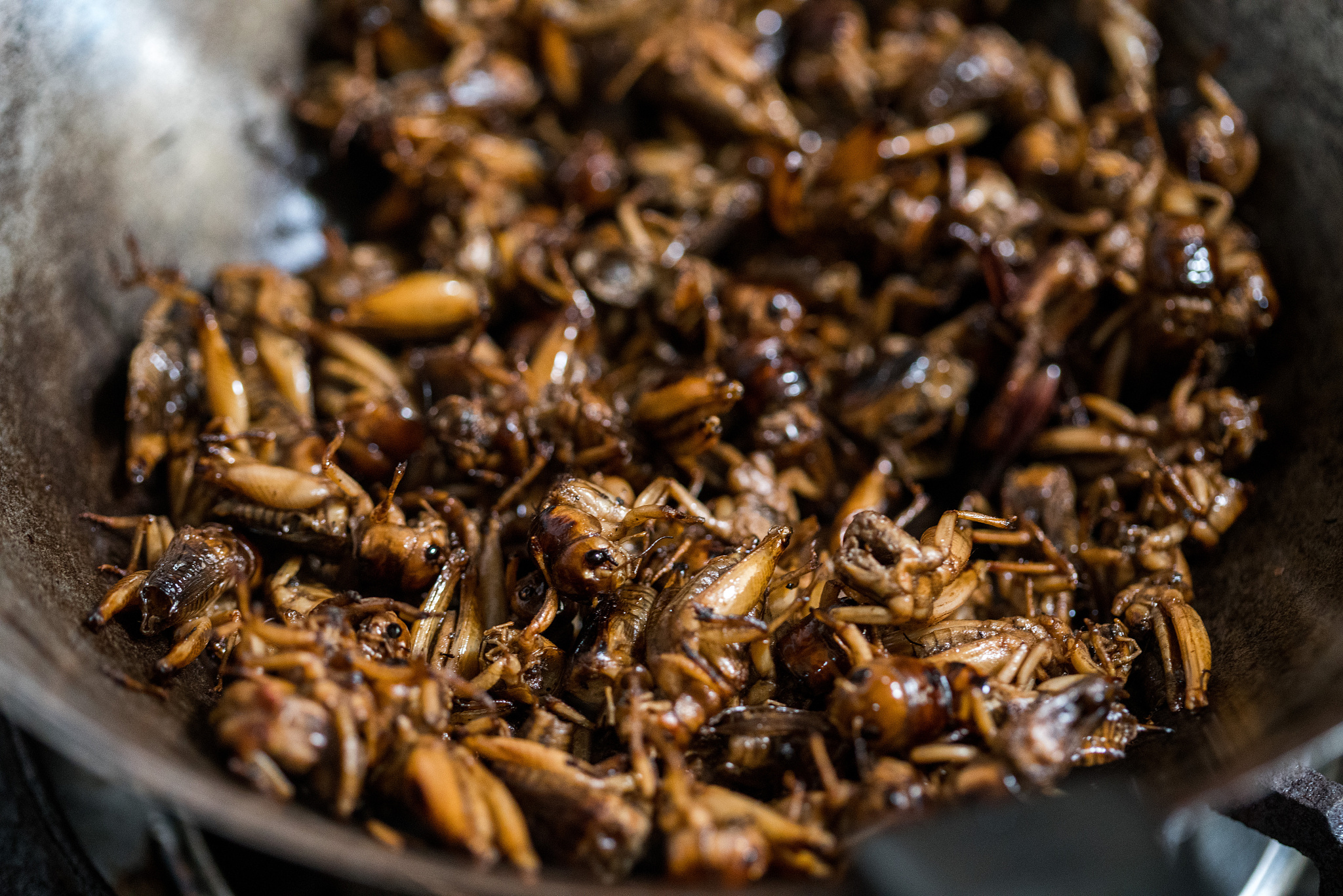 字数不少于3的论文题目为《昆虫美食》内容包括摘要关键词前言研究与进展总结与展望参考文献。记住字数一定要够3少一个都不行摘要：昆虫美食是指人类将昆虫作为食物进行消费这一现象在世界各国都存在。昆虫有着高蛋白、低脂肪、富含矿物质的特点其营养价值不容小觑。本文通过文献综述的方式探讨了昆虫美食的历史源头、昆虫的营养价值、现代昆虫美食市场以及昆虫美食对环境保护的意义等并对未来昆虫美食发展