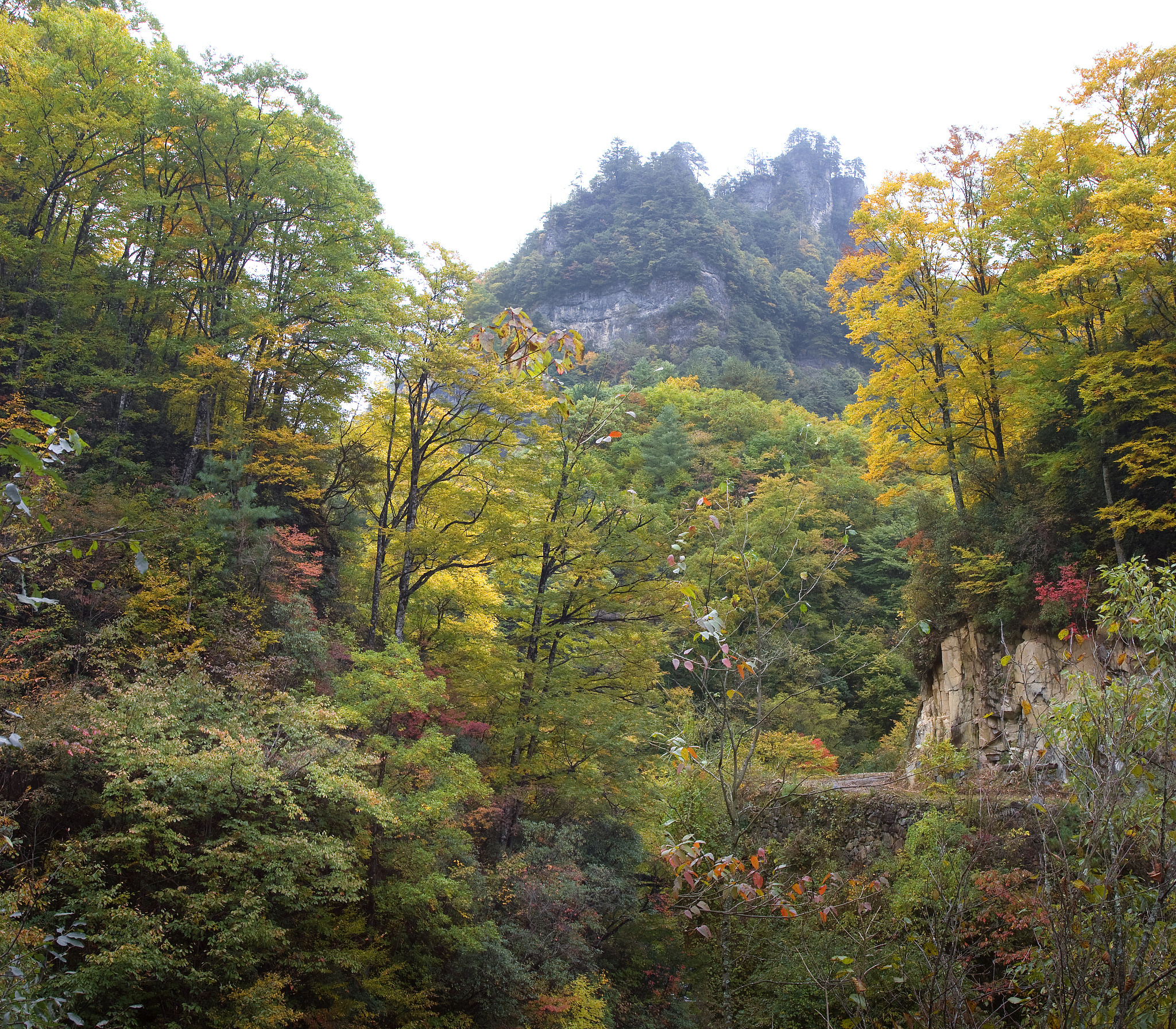 四川旅游地理专业院校推荐 | 未来就业方向解析