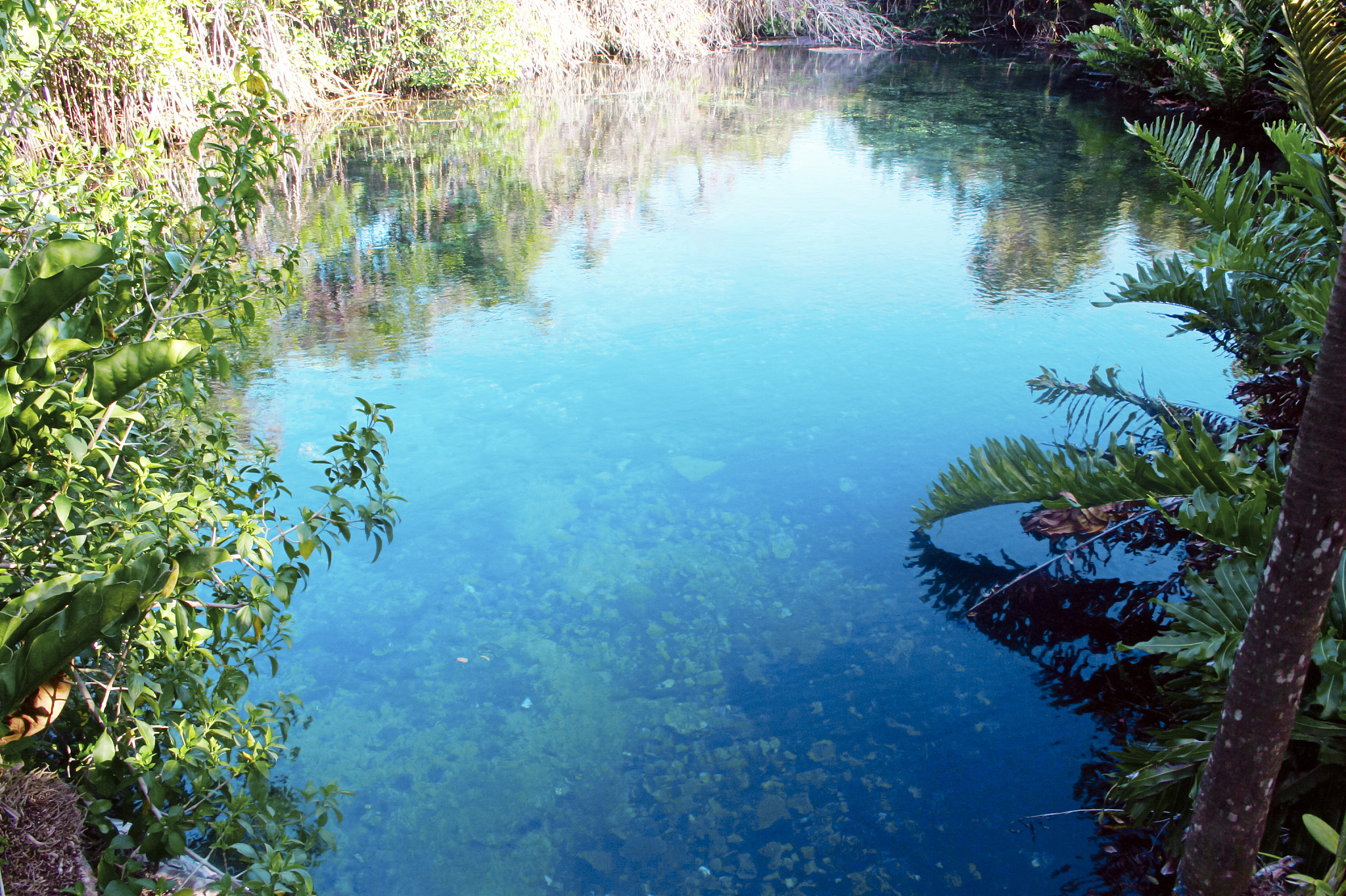 crystal clear cenote