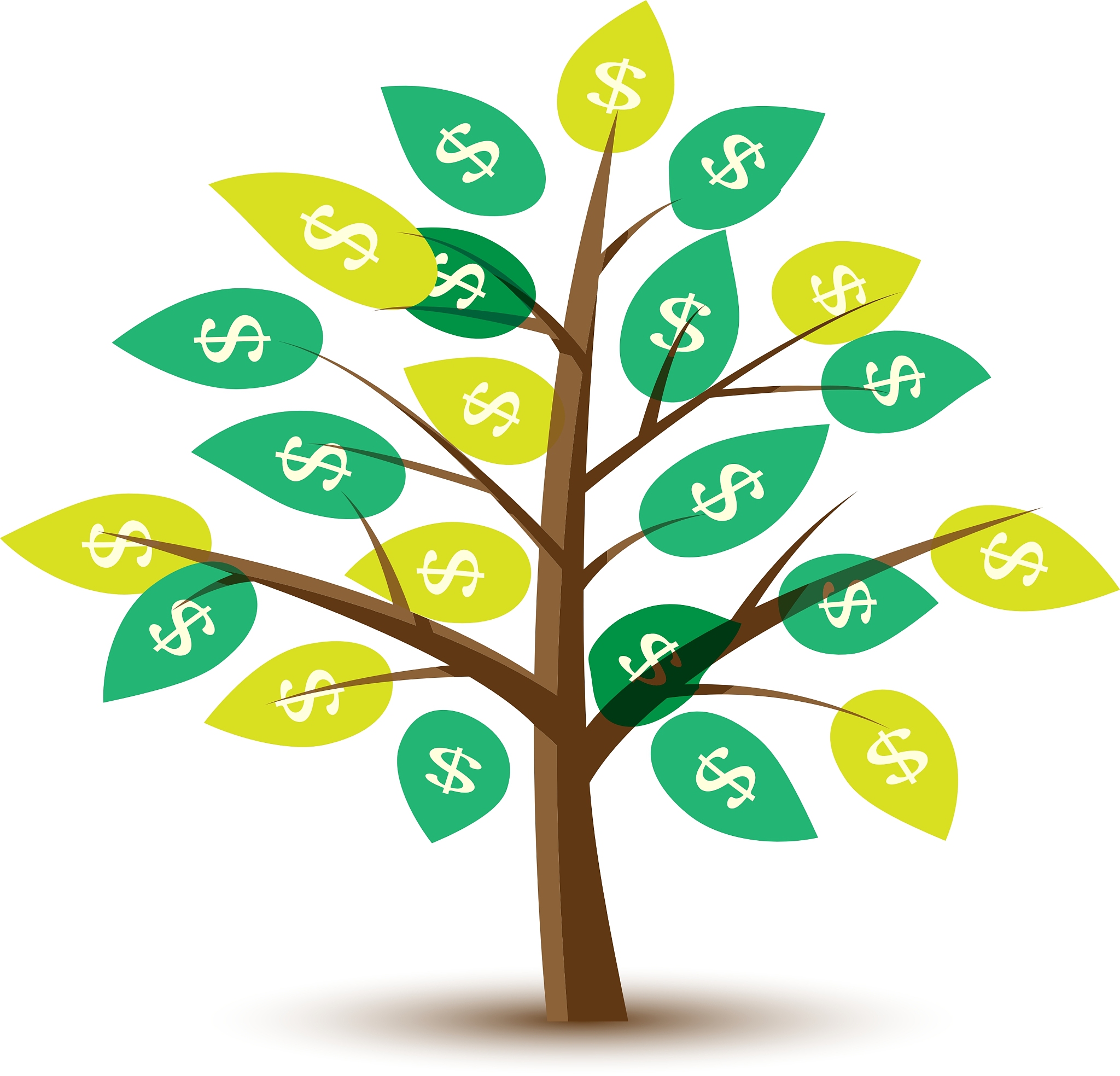 money tree