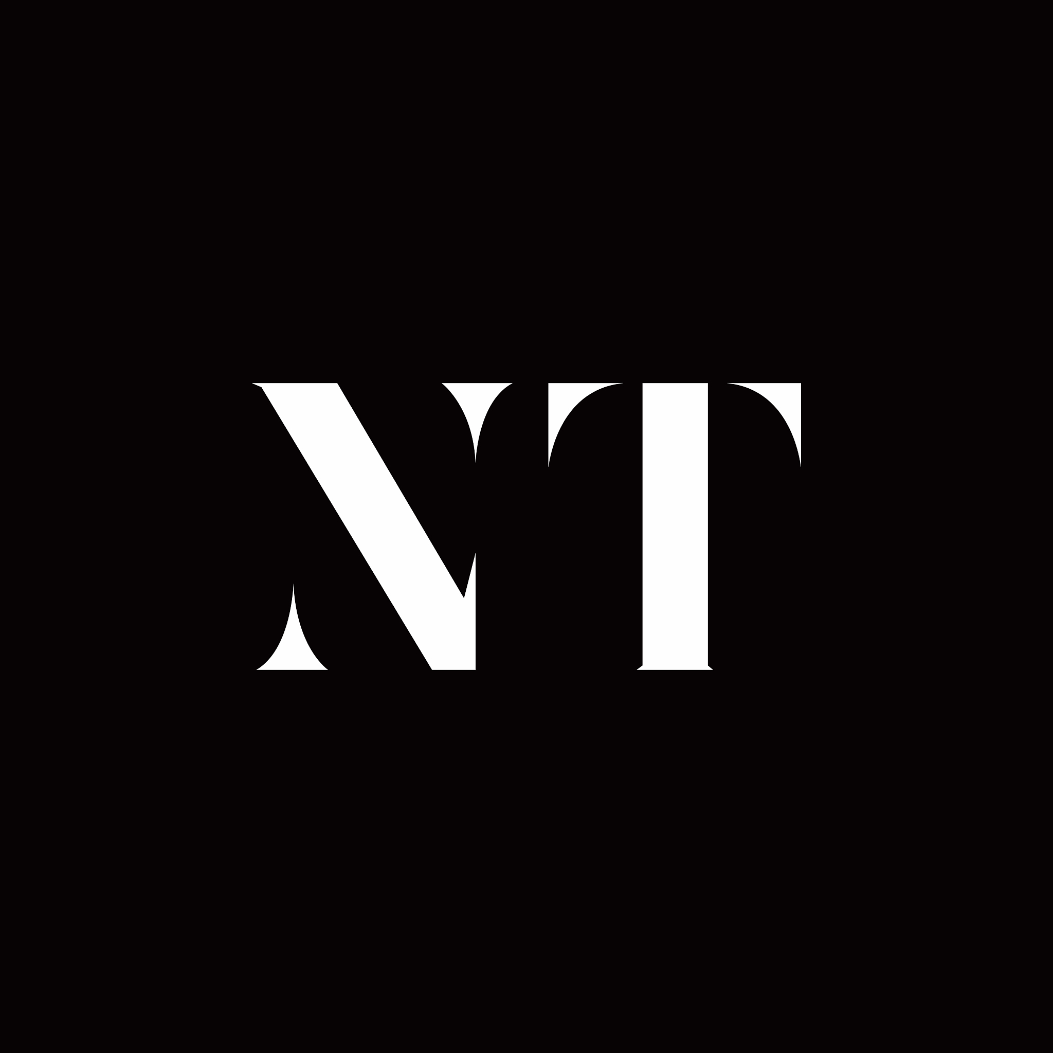 nt logo letter initial logo designs template