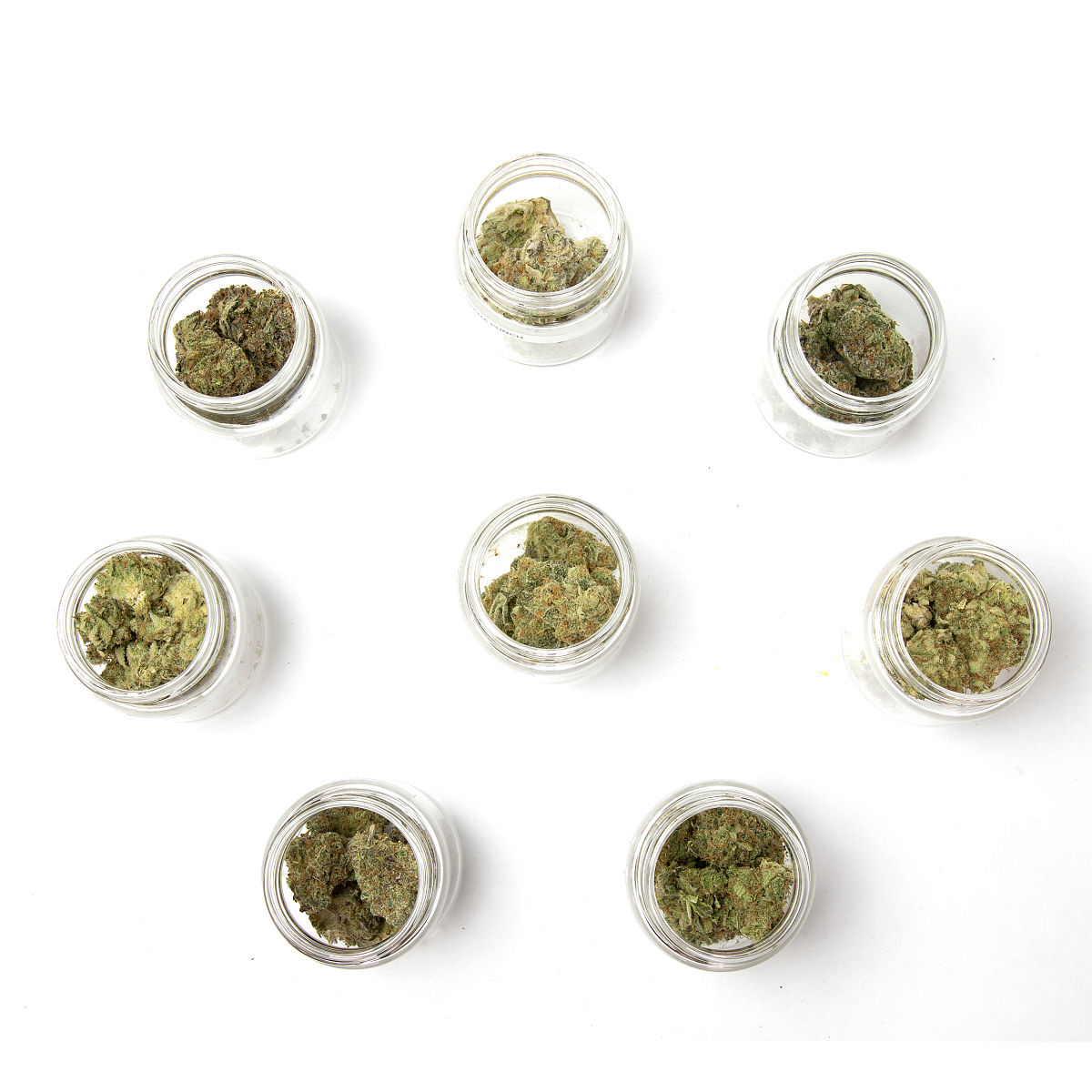 中国工业大麻管控 实证分析