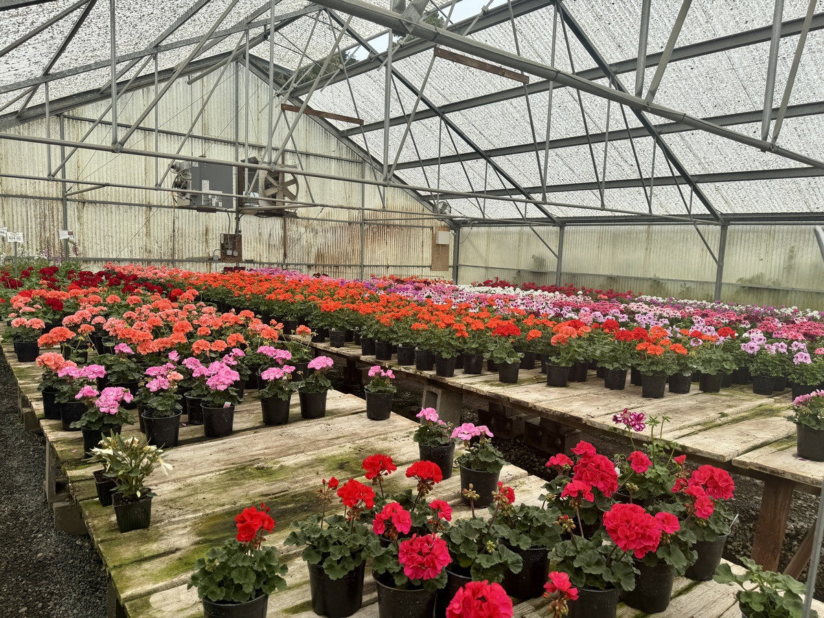 云南省园艺场学校果蔬花卉生产技术专业2022年招生