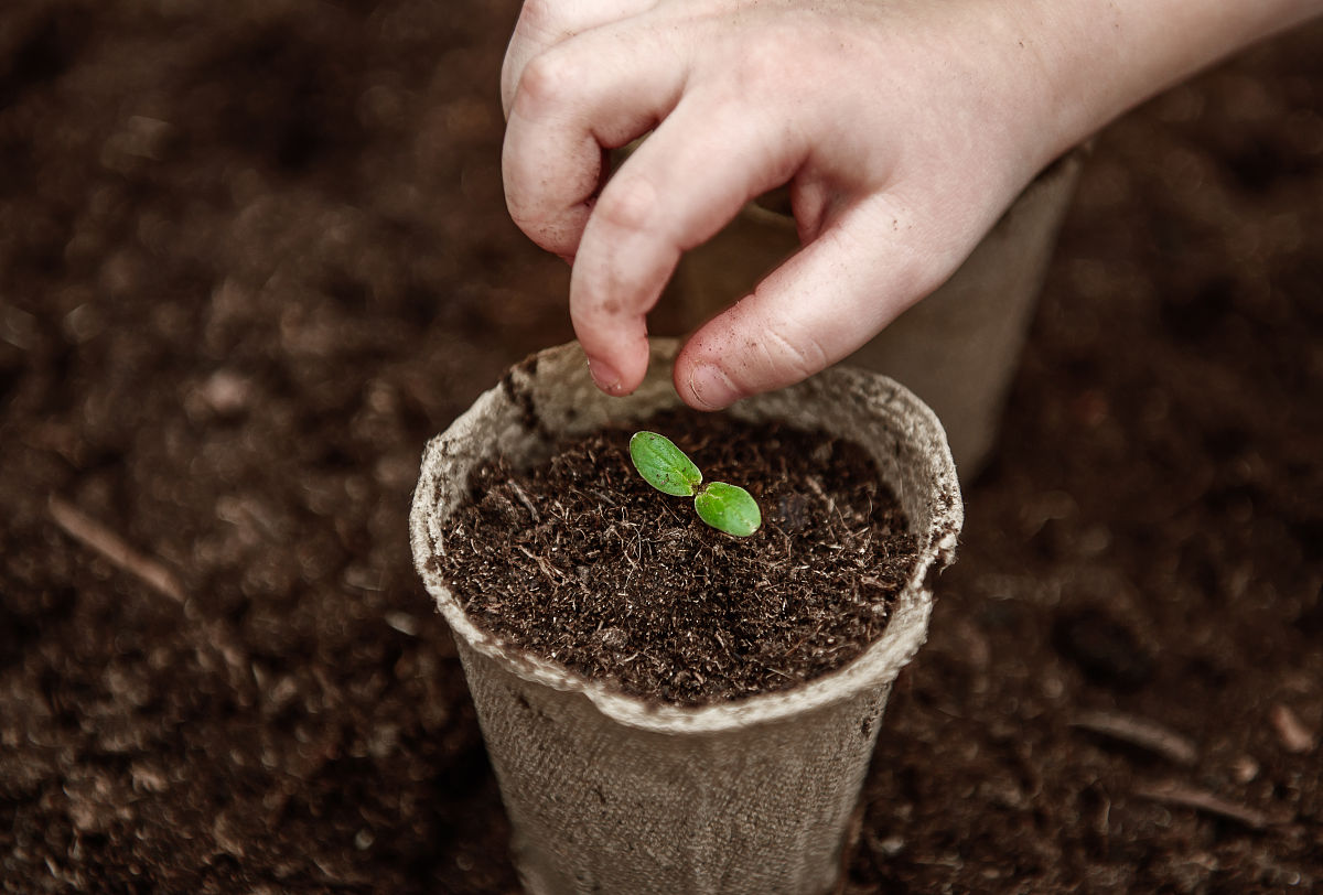 天水农业学校2023年招生简章 - 培养未来农业人才的理想选择