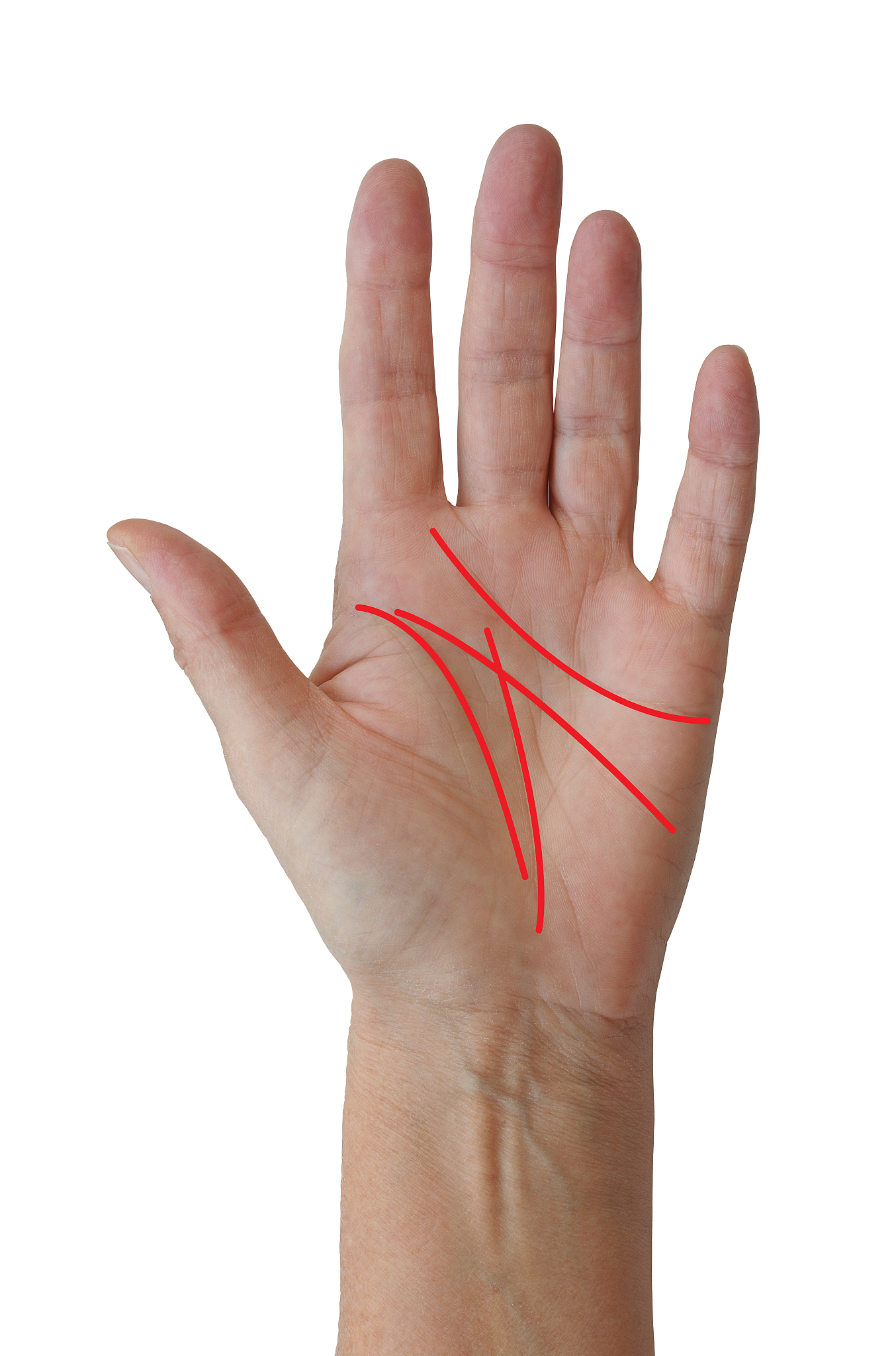 手相菱形纹被分成两半