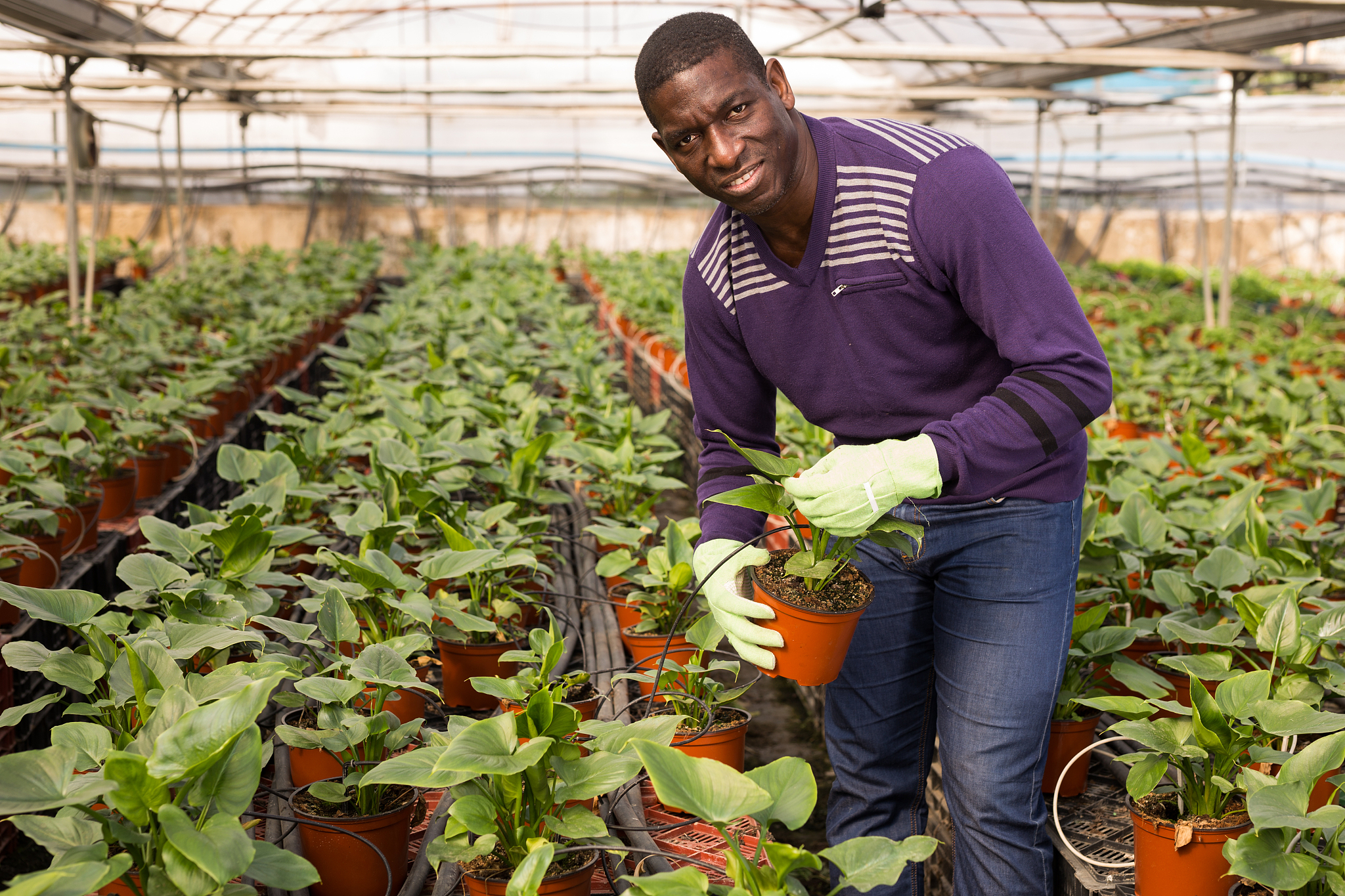 玉溪农业职业技术学院怎么样？教学质量、师资力量及就业前景分析