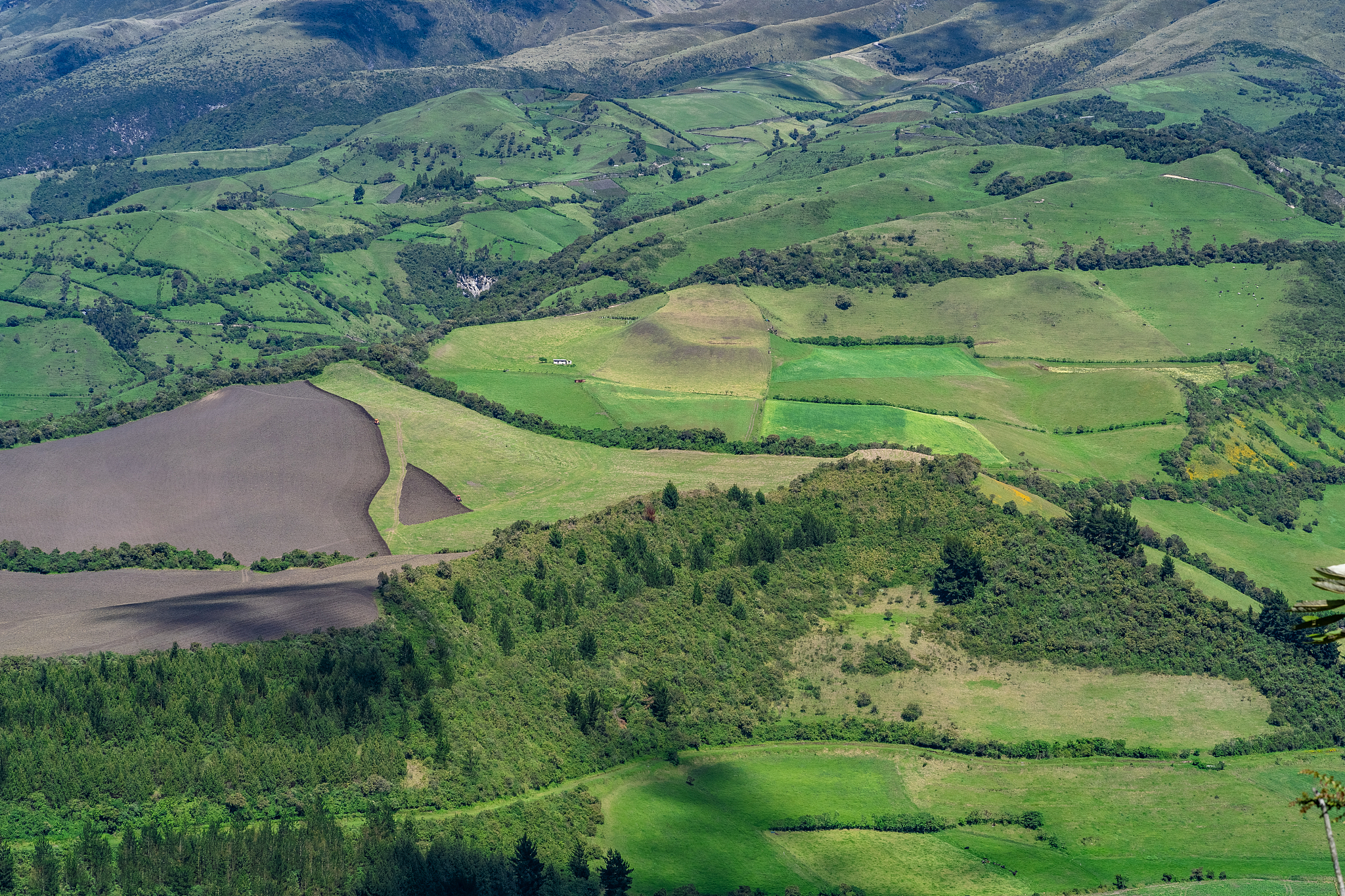 andean valley near pichincha volcano, in los andes, south americ