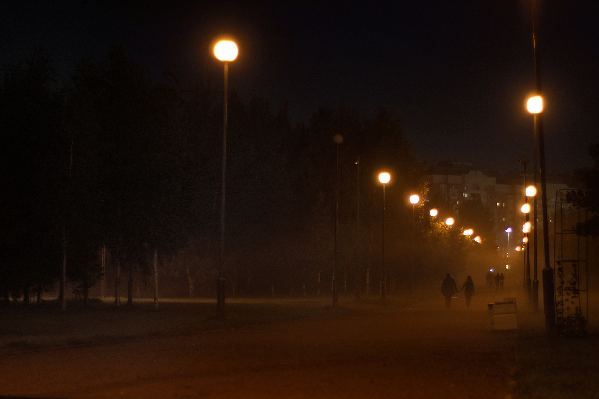 misty alley, lighted lamps, receding into the distance couple ho