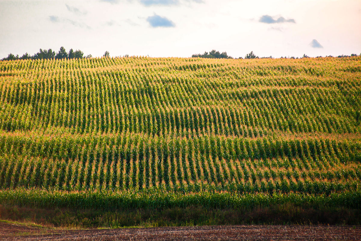 贵州2023年男孩子中专学什么专业好