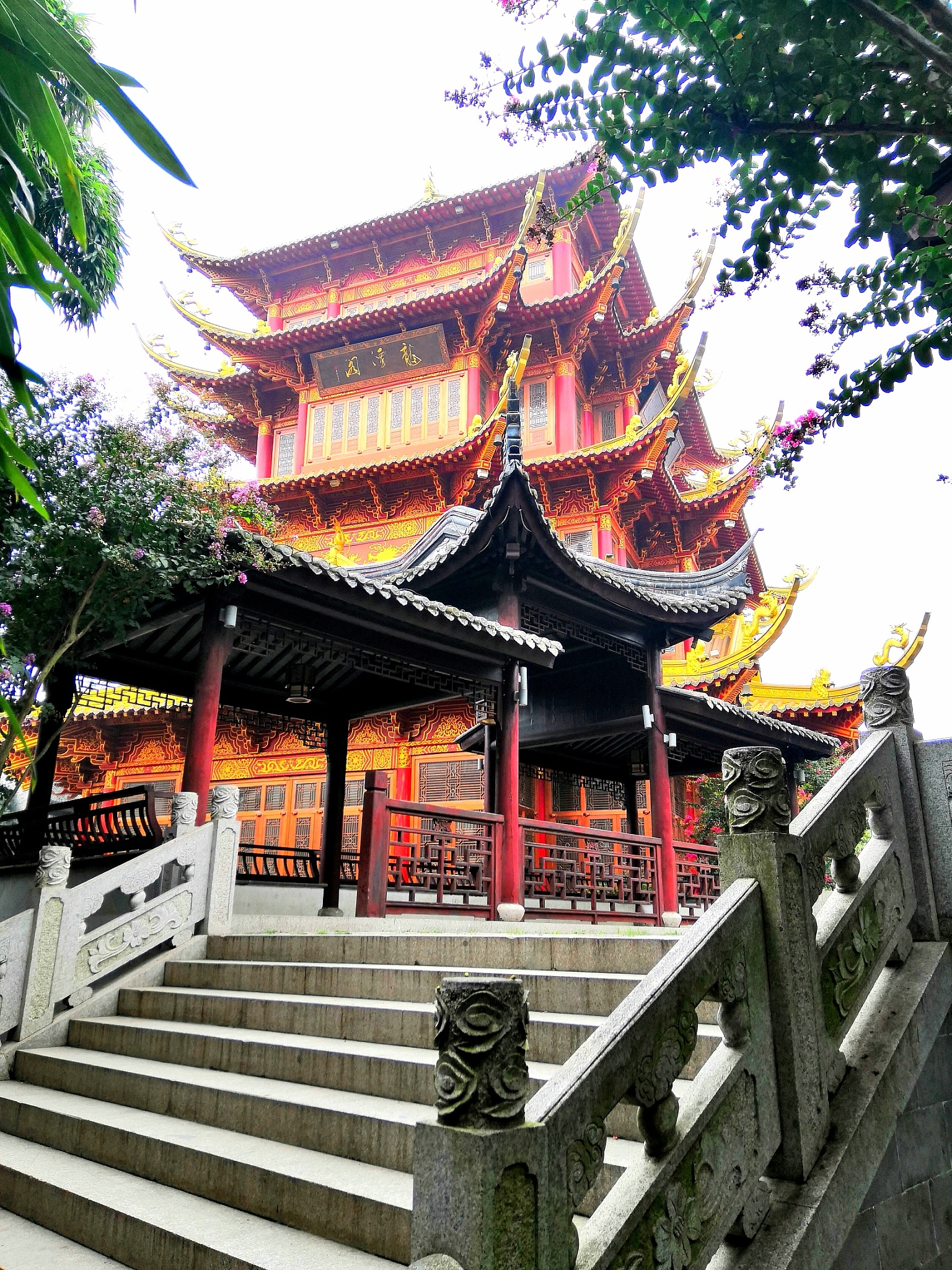 四川旅游学校2023年专业设置：热门专业及未来趋势