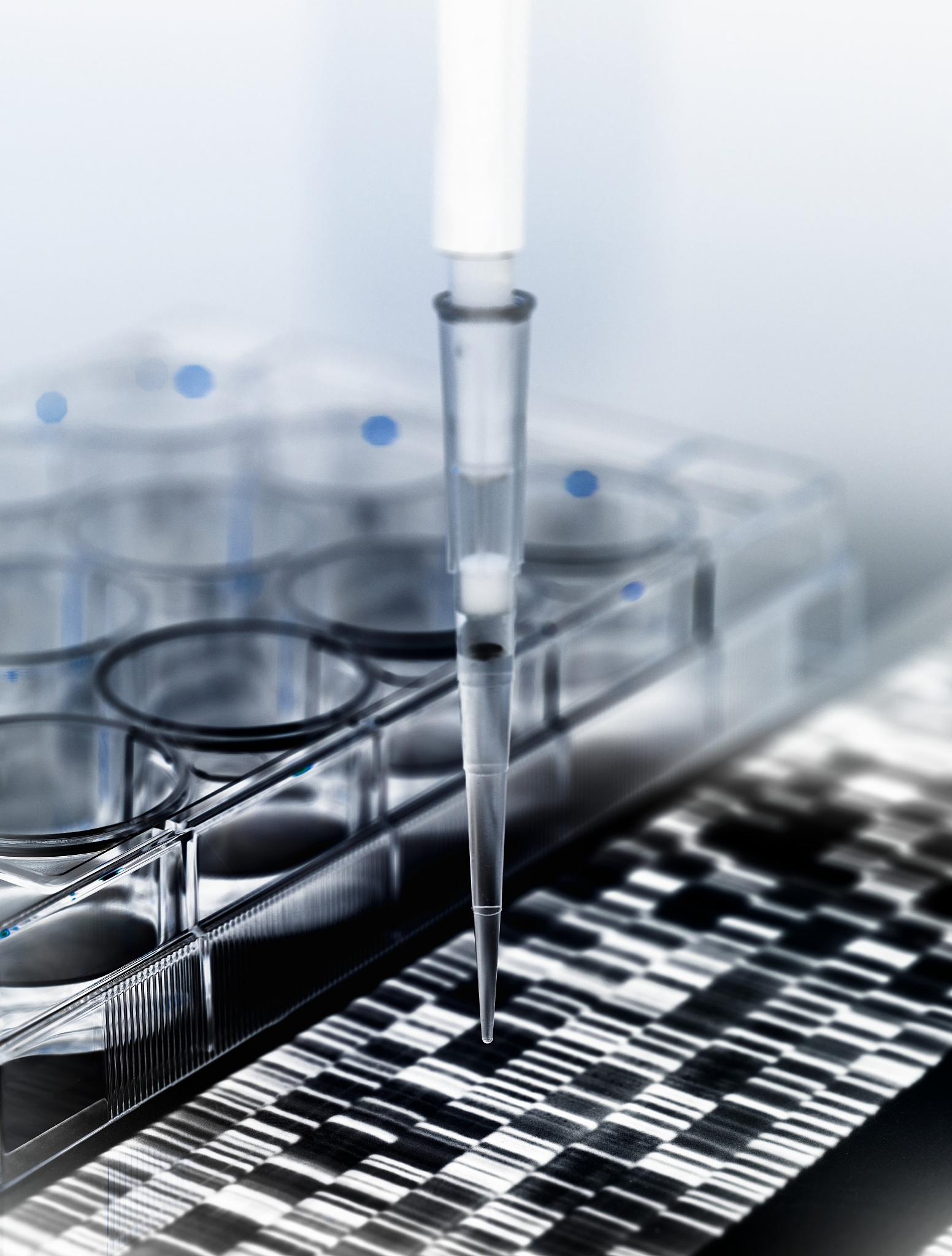 RNA提取步骤简化指南：从细胞到浓度检测