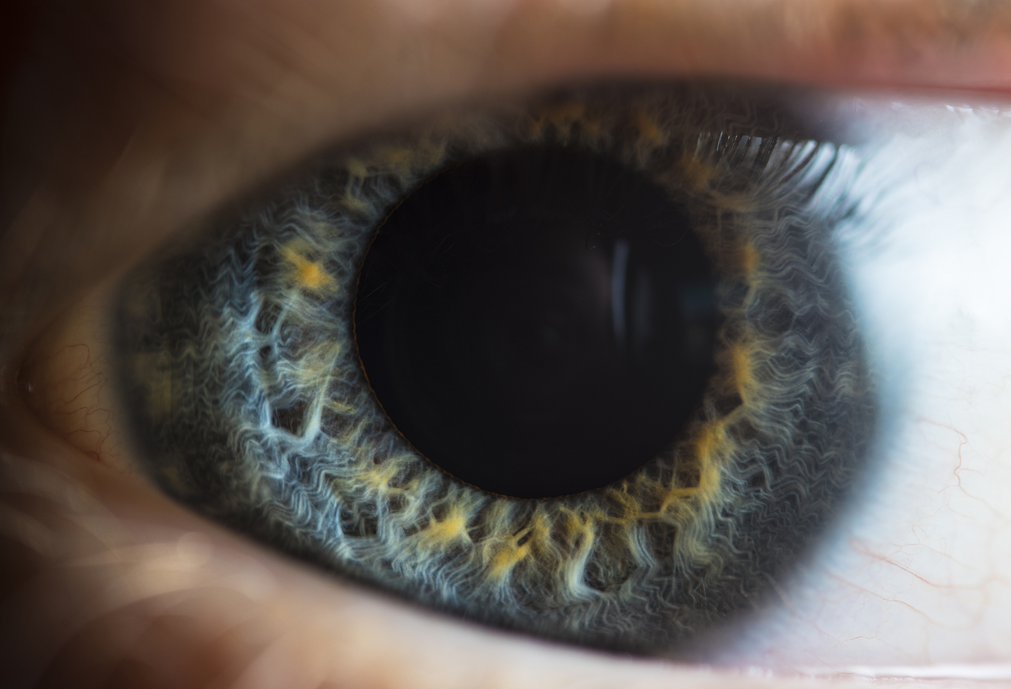 close up blue eye