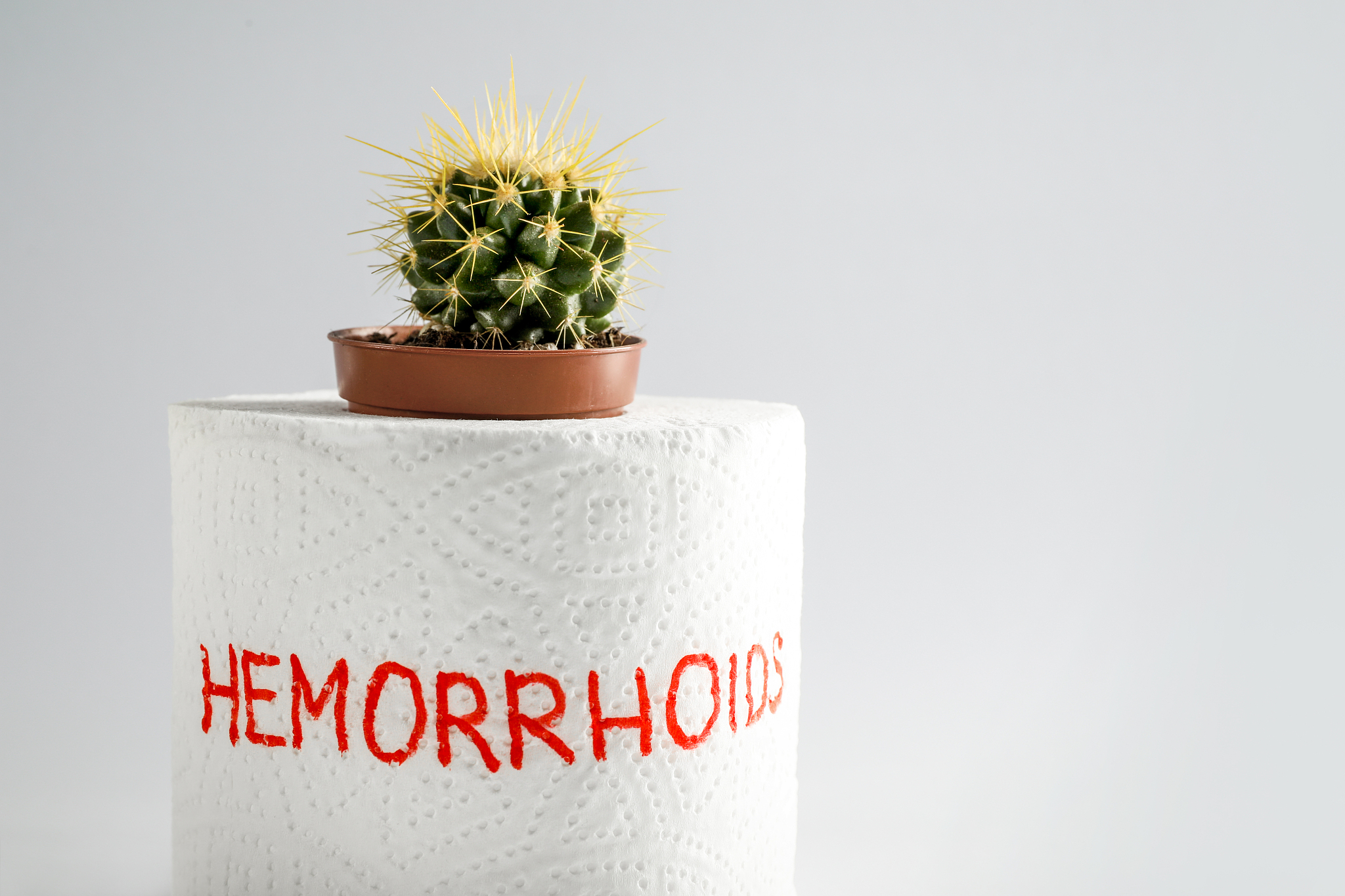 toilet paper roll and cactus, illness concept