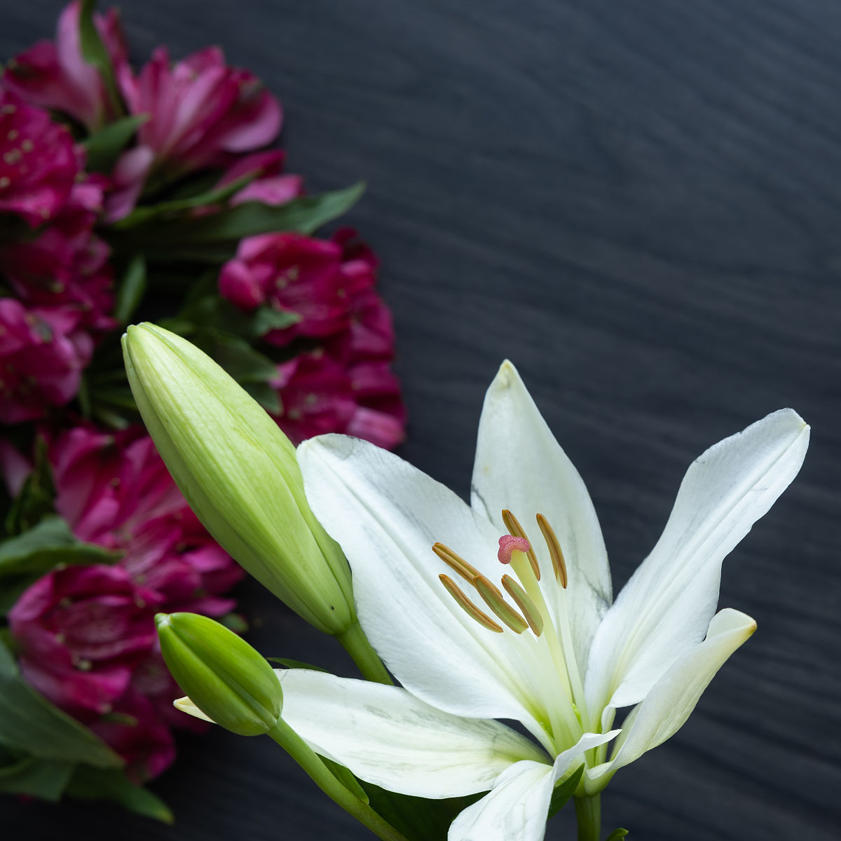 请帮我写1篇650字的博客文章主题是：百合的花语是什么