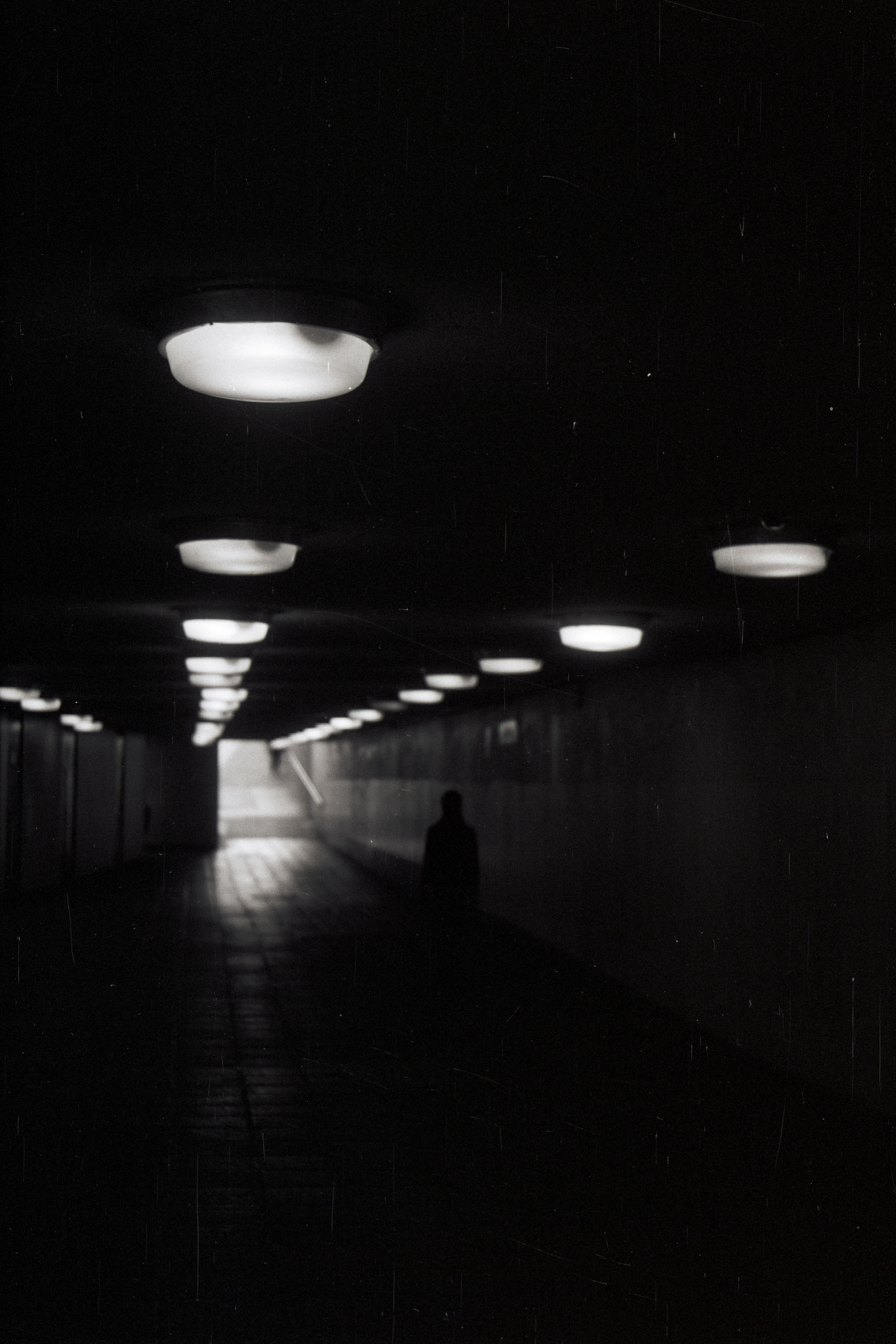 1200字关于利用光影营造出独特的摄影效果