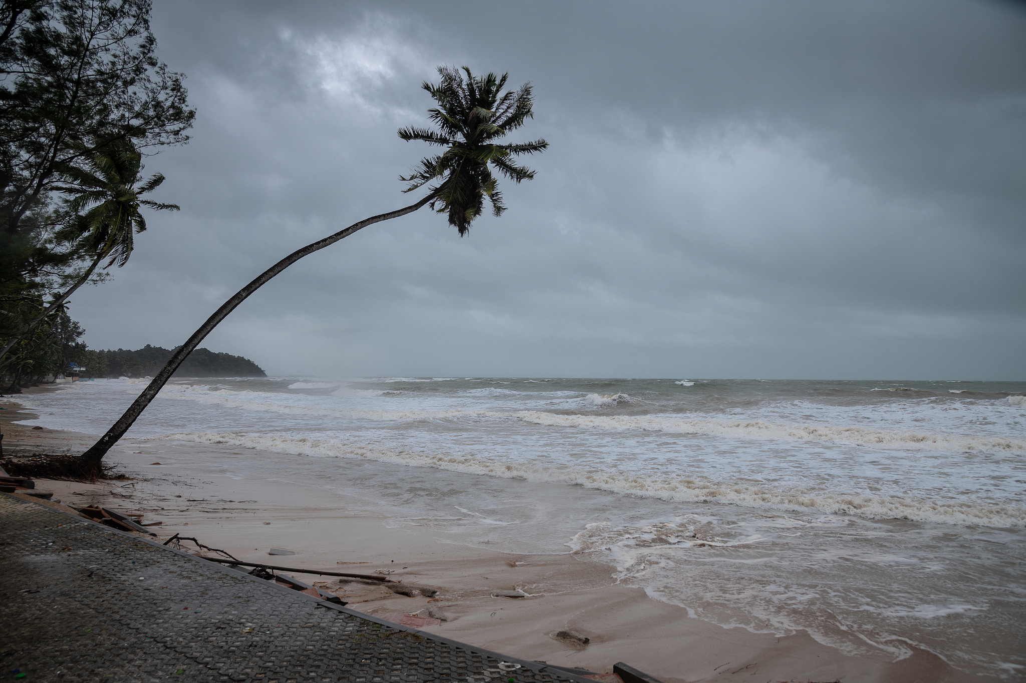🌪️🌀 台风知识大考验：你能答对几道？