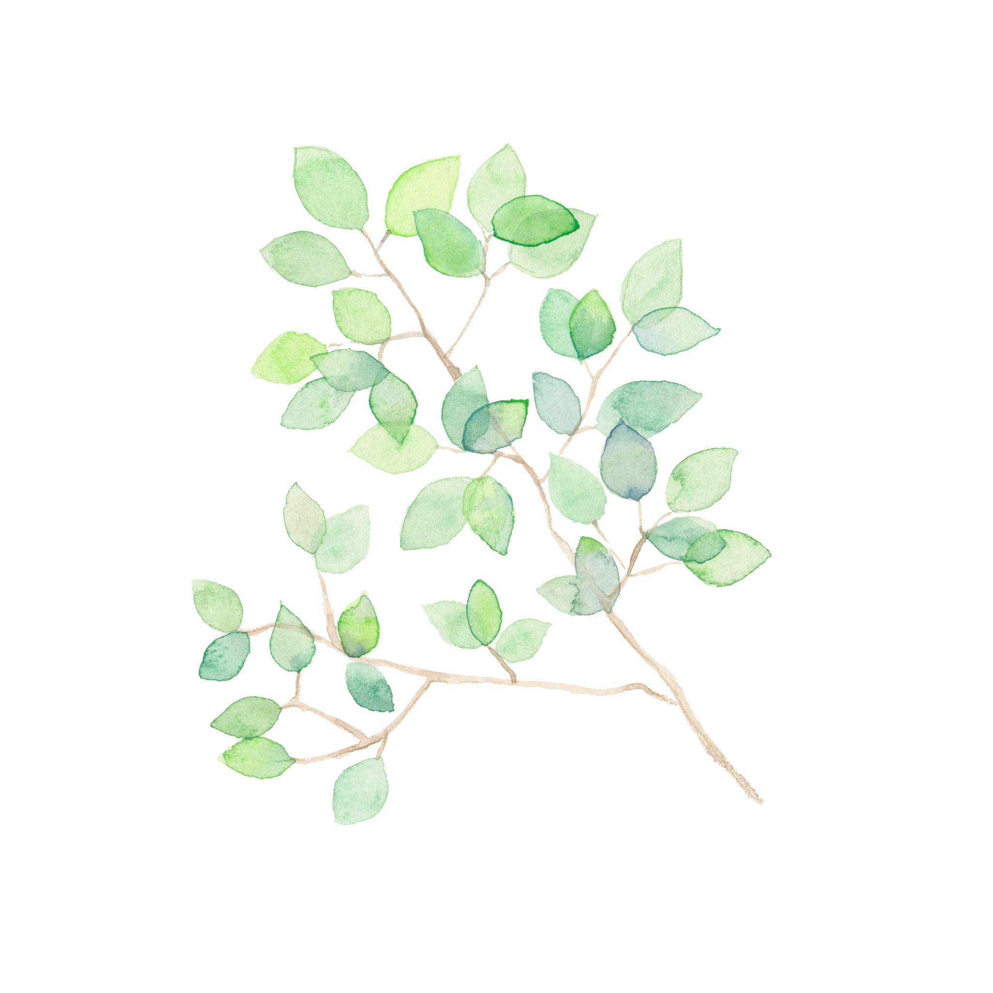 辽宁林业职业技术学院单招药剂专业好吗