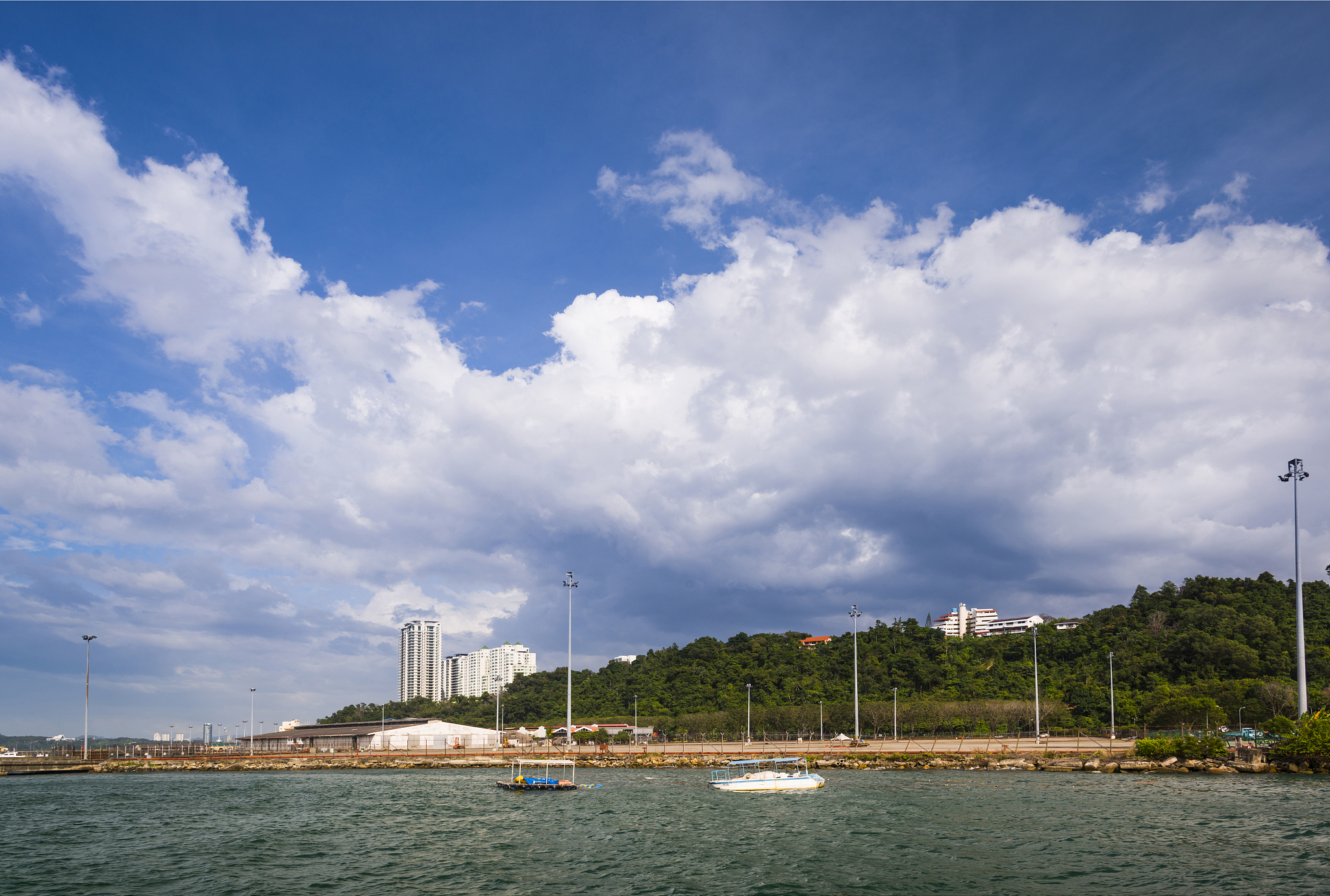 沙巴海边椰树