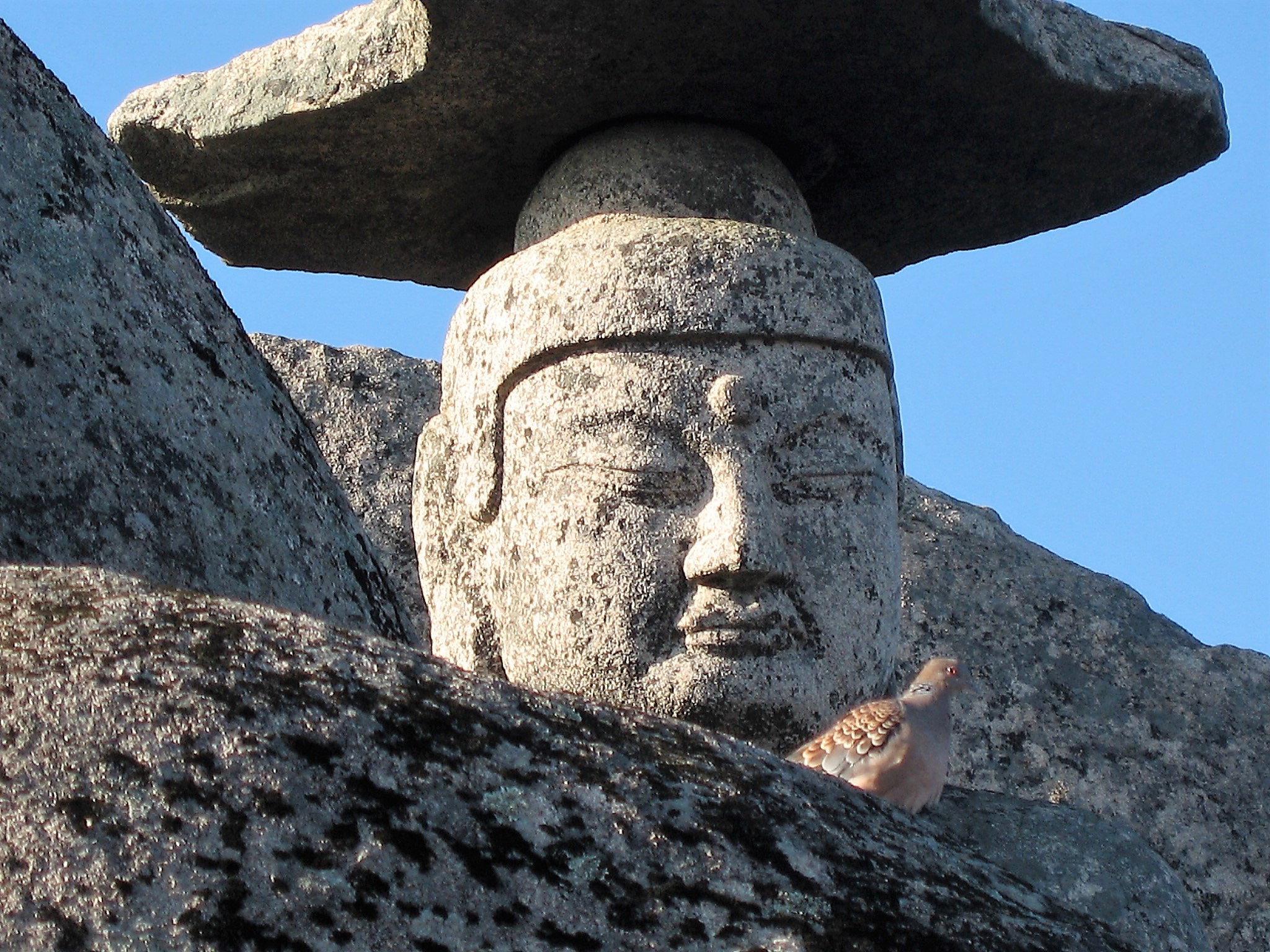 攀枝花市经贸旅游学校专业设置：经济学、旅游学等热门专业