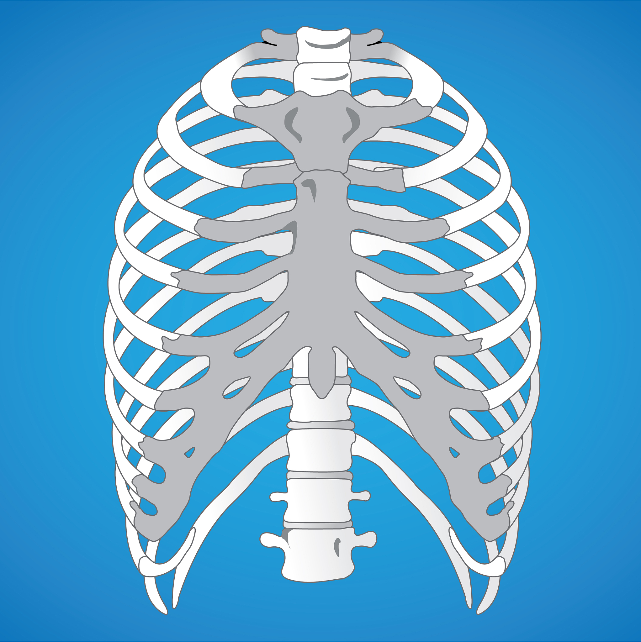 遵义医学院医学与科技学院麻醉学专业