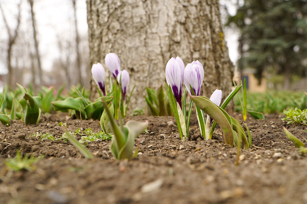 台州第一技师学院2022年招生简章