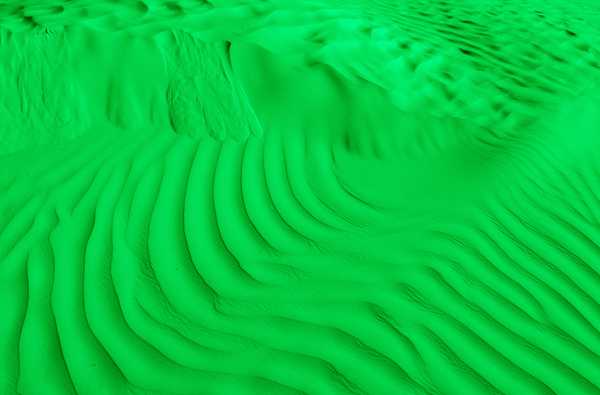 Wallpaper Engine 壁纸存储位置详解：本地和 Steam Workshop