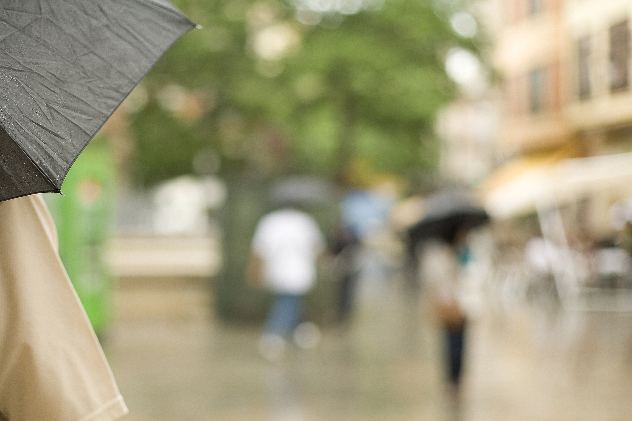 雨天的教室独白：一段关于友情和成长的青春物语