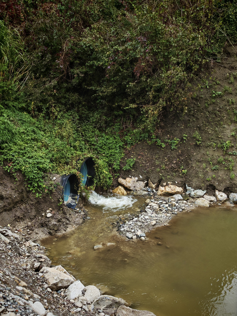 小村庄的环保奇迹：从污染到生机的故事