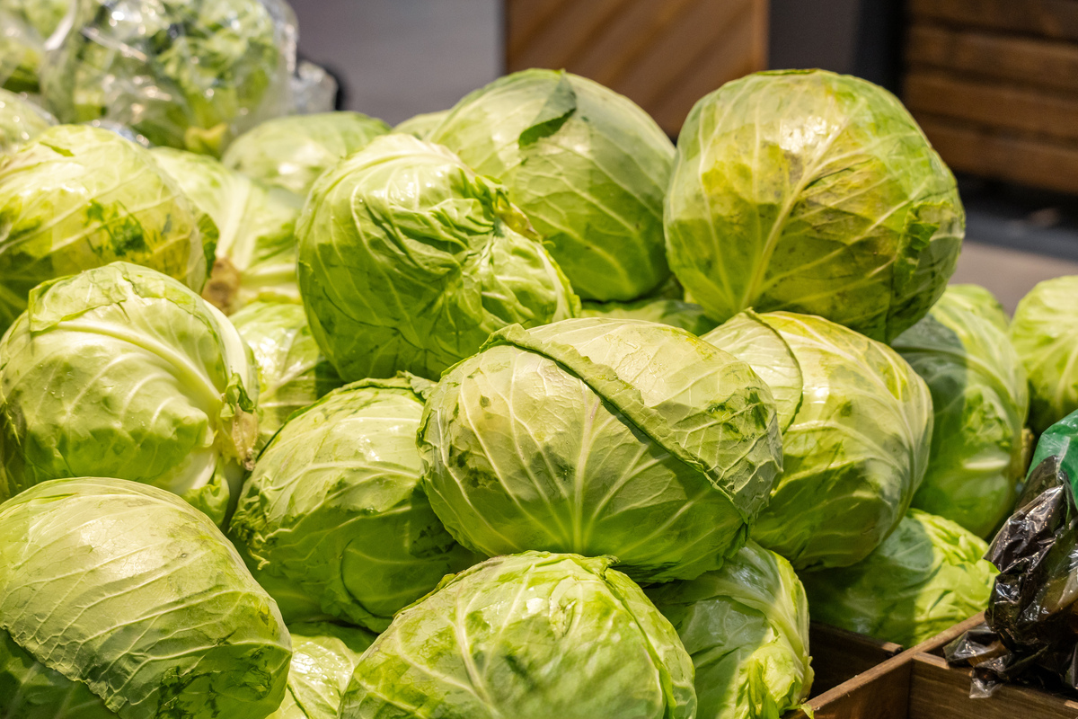 秋季黄心大白菜：营养丰富、口感鲜美，品种繁多任你选！