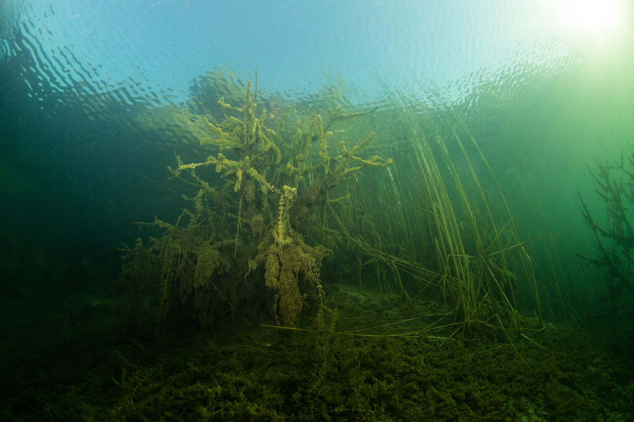 at the bottom of the river