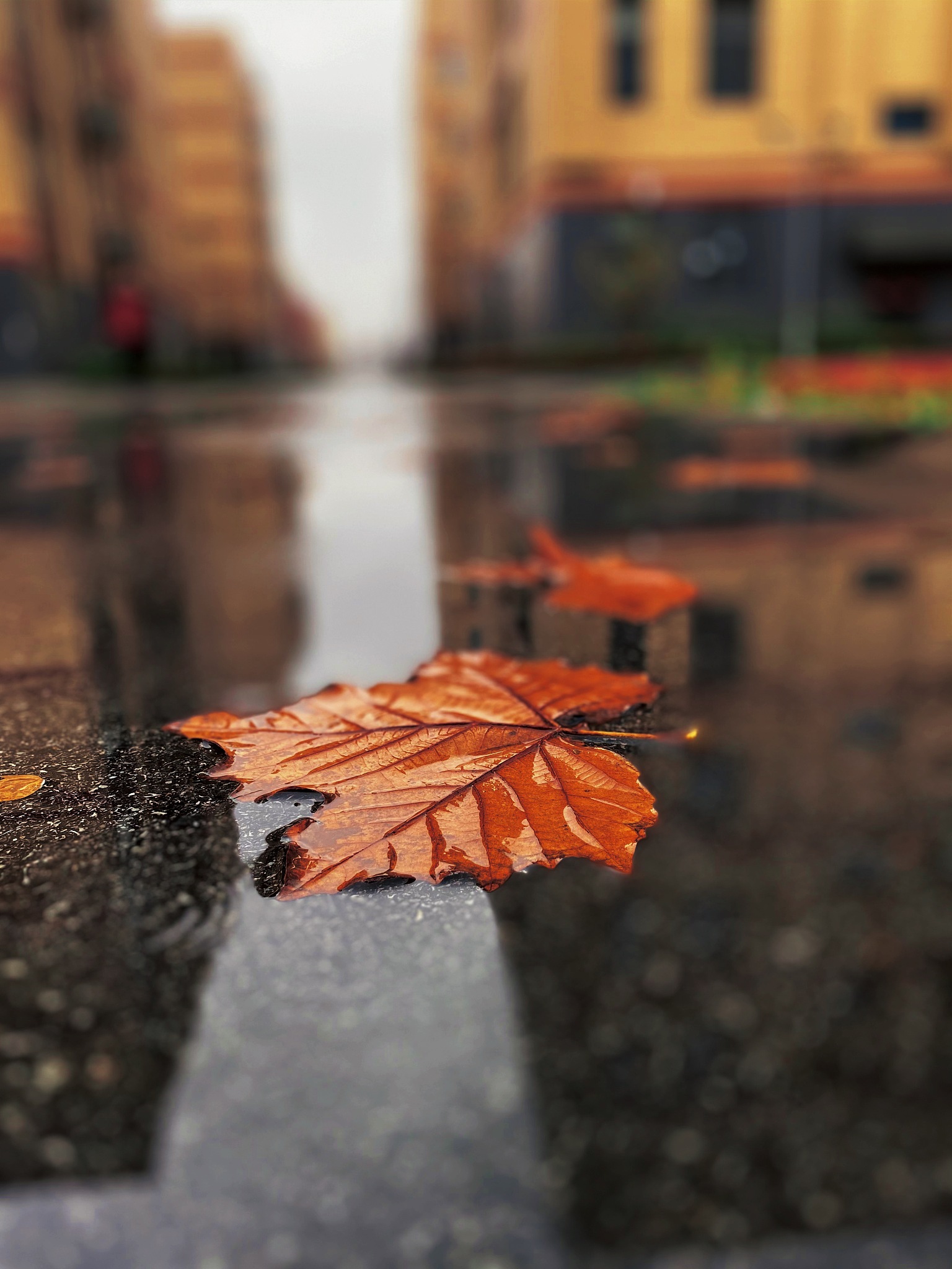 雨天出行安全提醒：朋友圈文案，暖心又实用