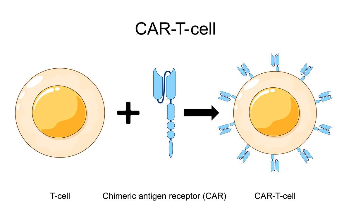 ISSod13, transposase是什么