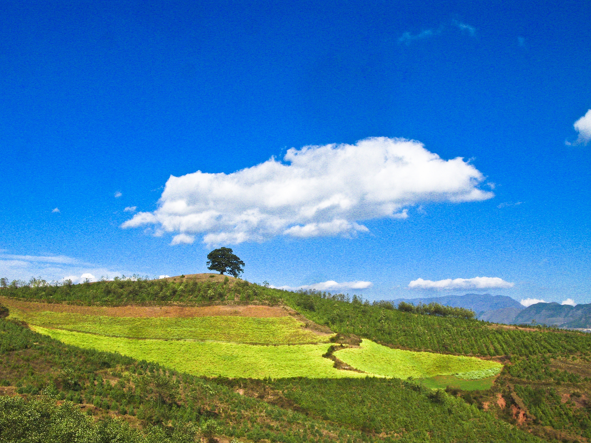 贵州省旅游学校城市轨道交通招生介绍