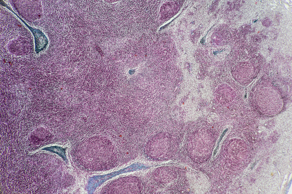 忻州职业技术学院口腔医学技术专业如何好学吗
