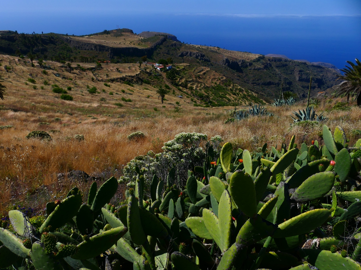 Cerrajeros Montecarmelo: ¡Tu seguridad en buenas manos!