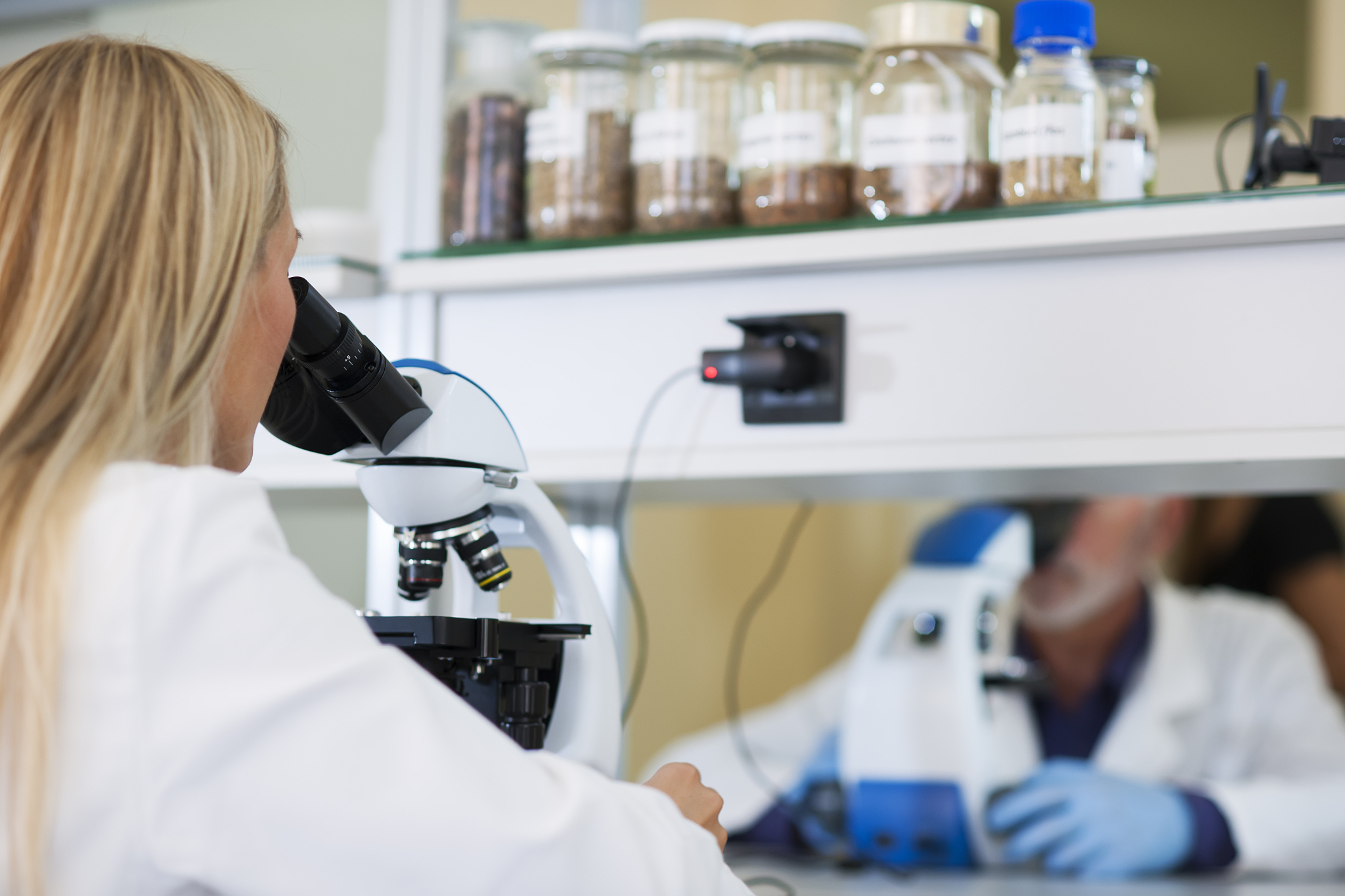 two scientist working in laboratory