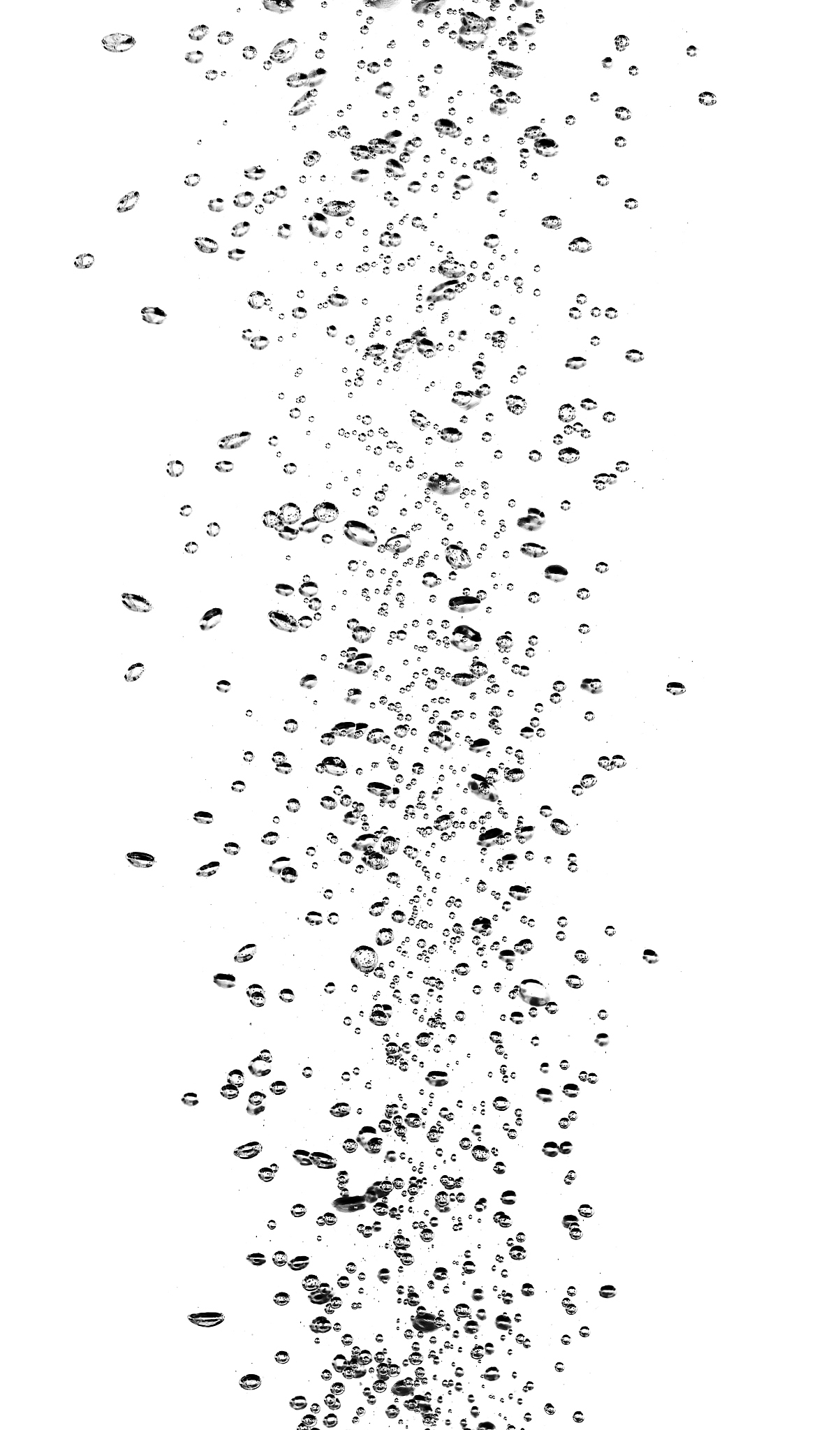 出一张五年级语文试卷