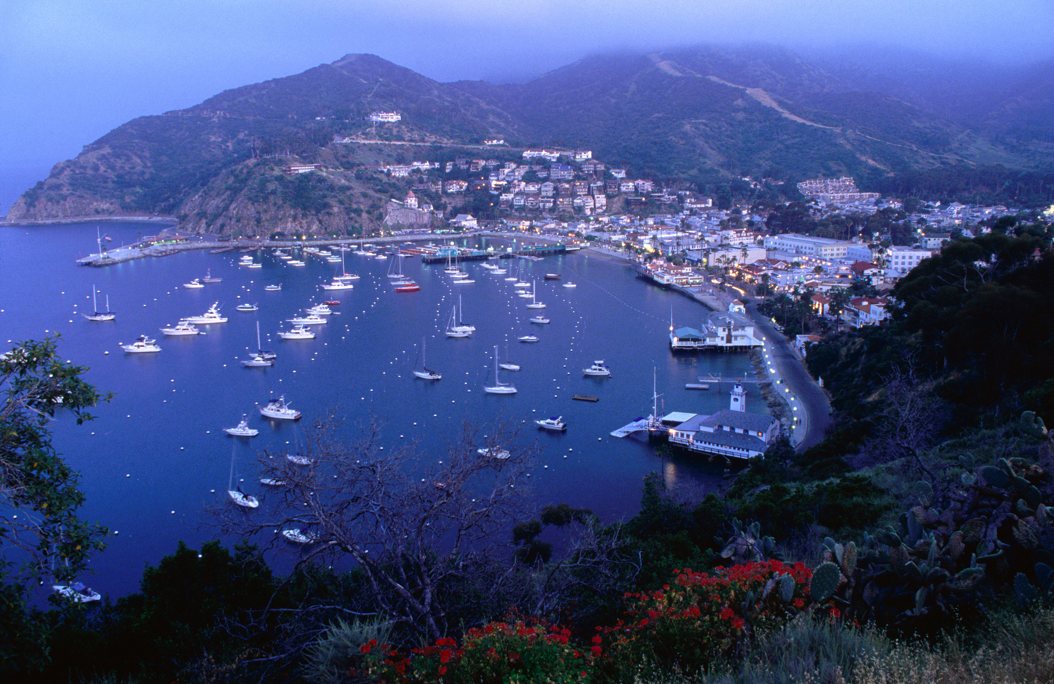 overhead of avalon, from west, santa catalina island, california