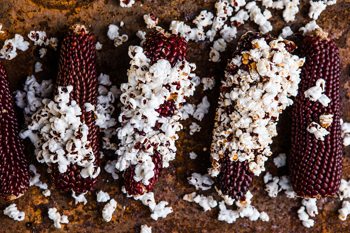 方城县中等职业学校招生专业都有哪些