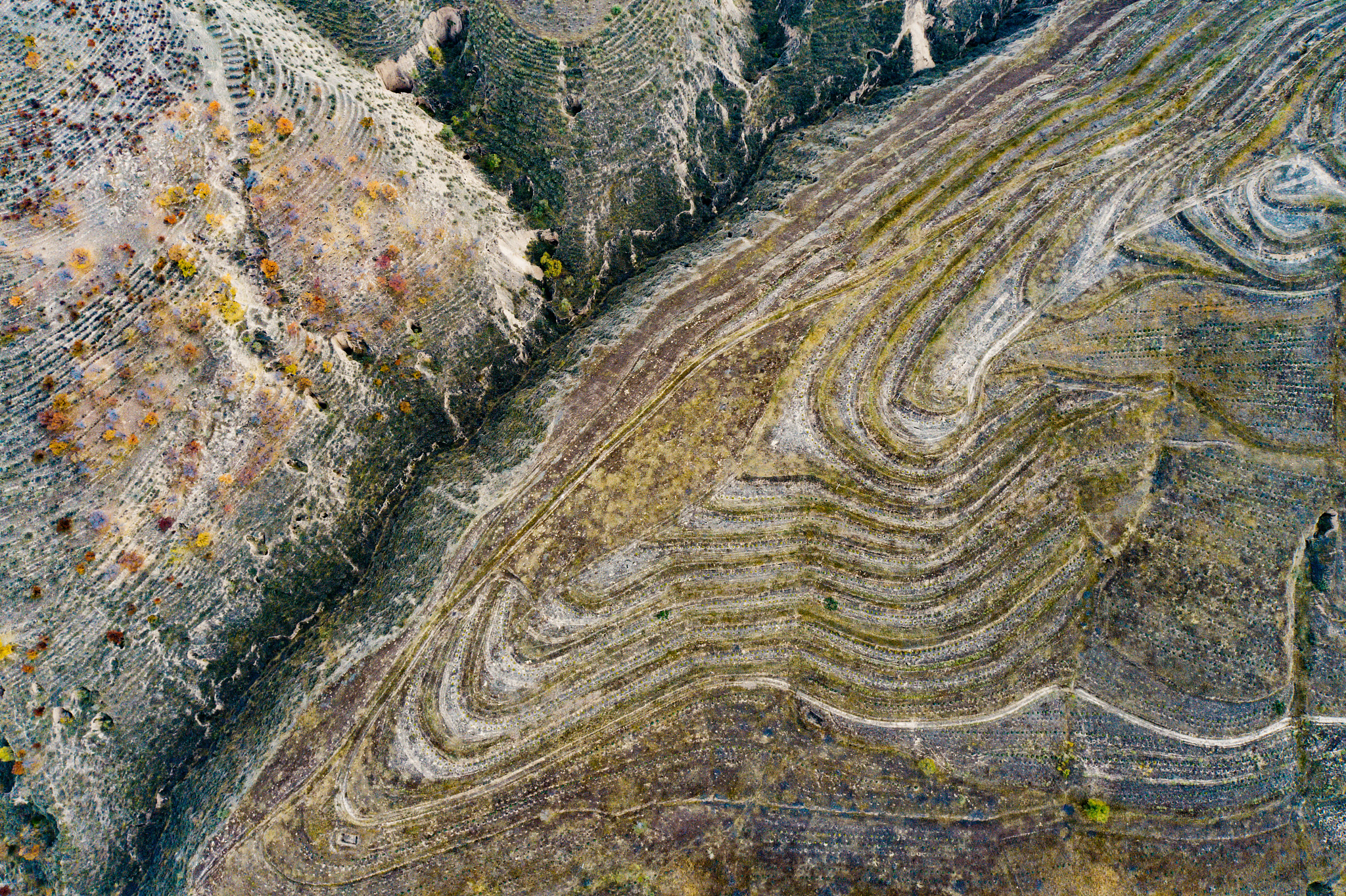 2022宁夏规模最大的高中