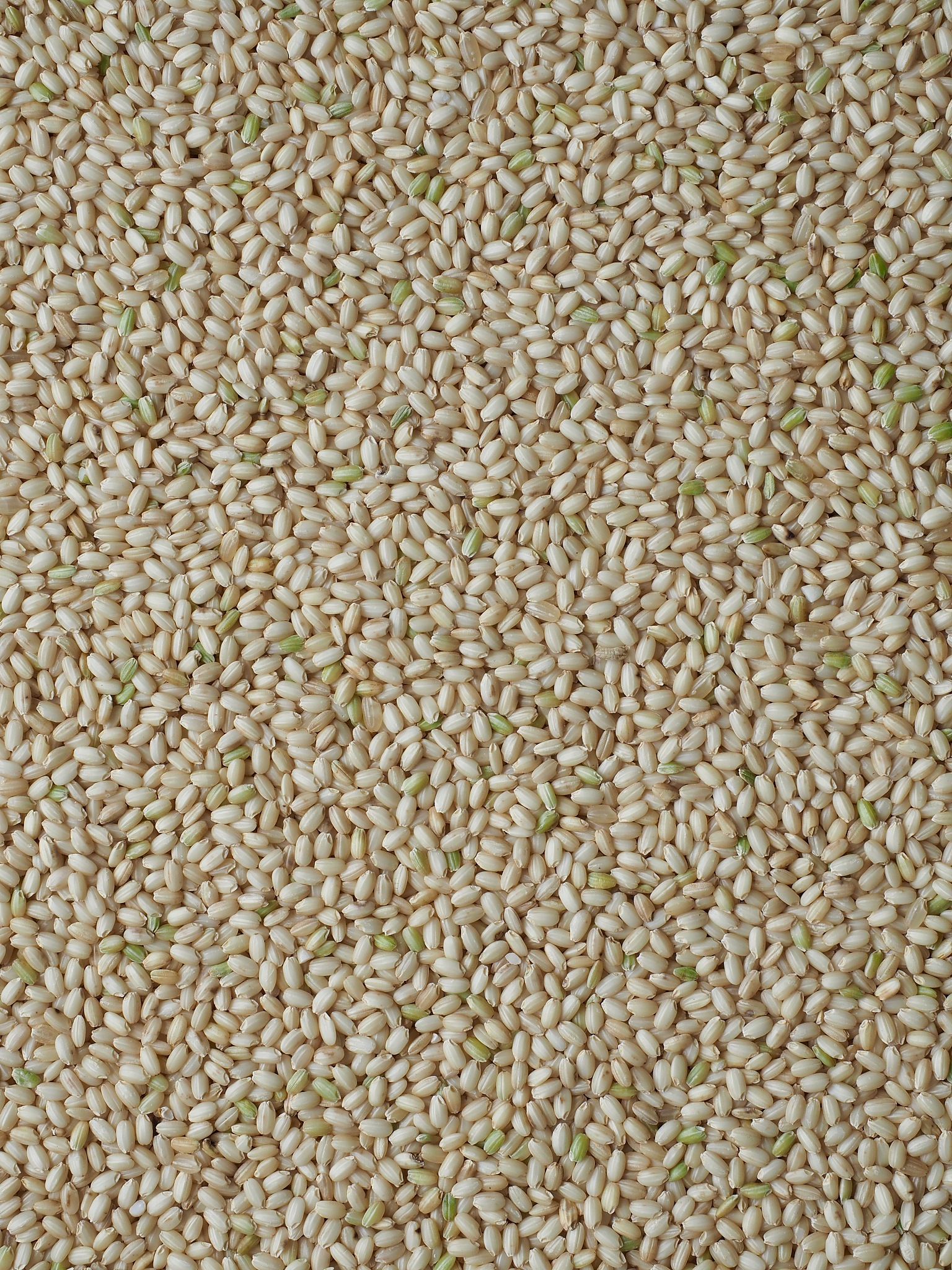 朝鲜语和韩语：交流障碍与共通点