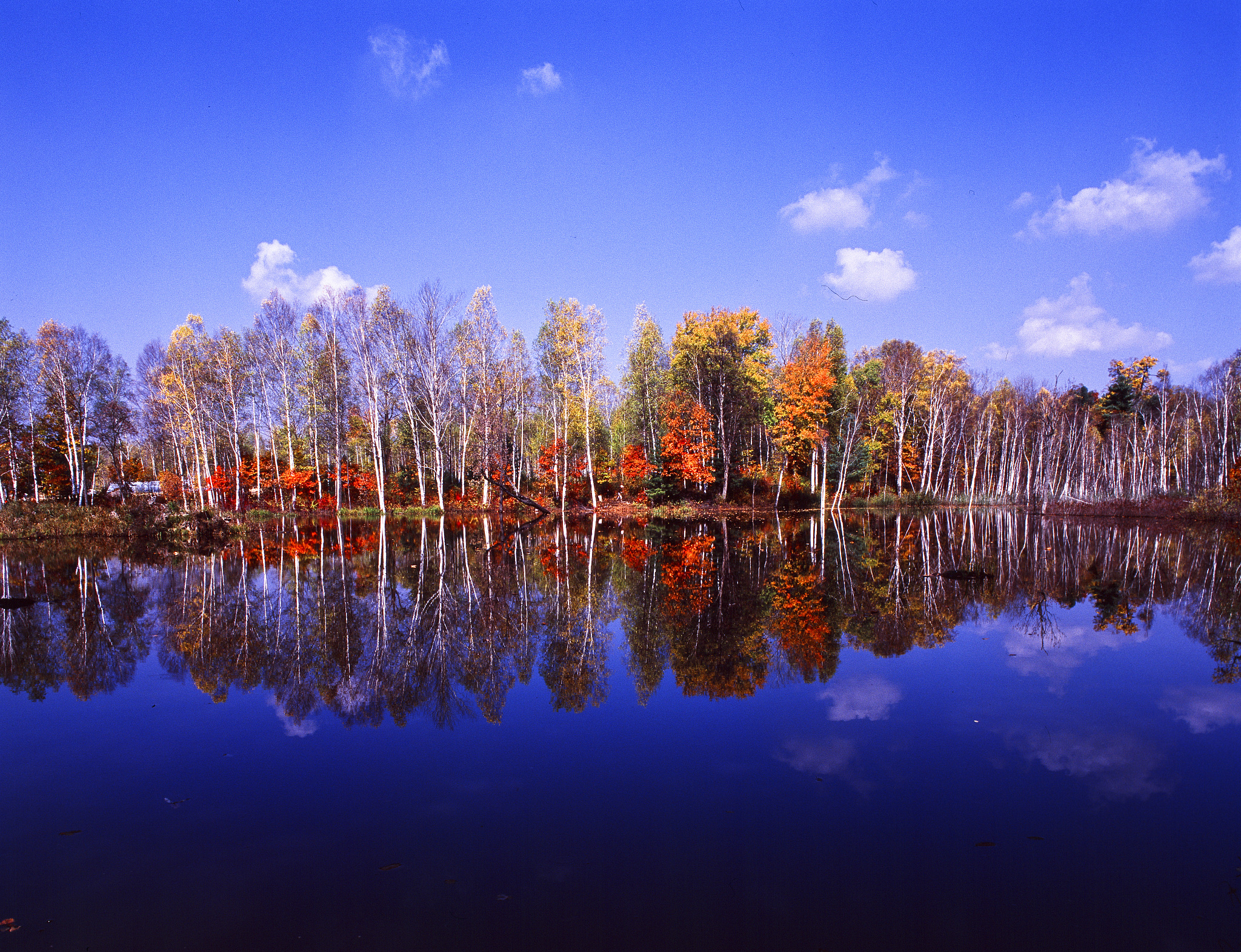 吉林政治生物地理就业方向 能做什么工作