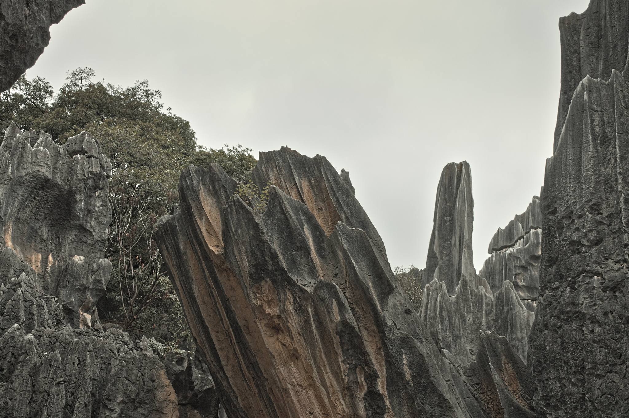 云南南方青年进修学院计算机应用专业怎么样