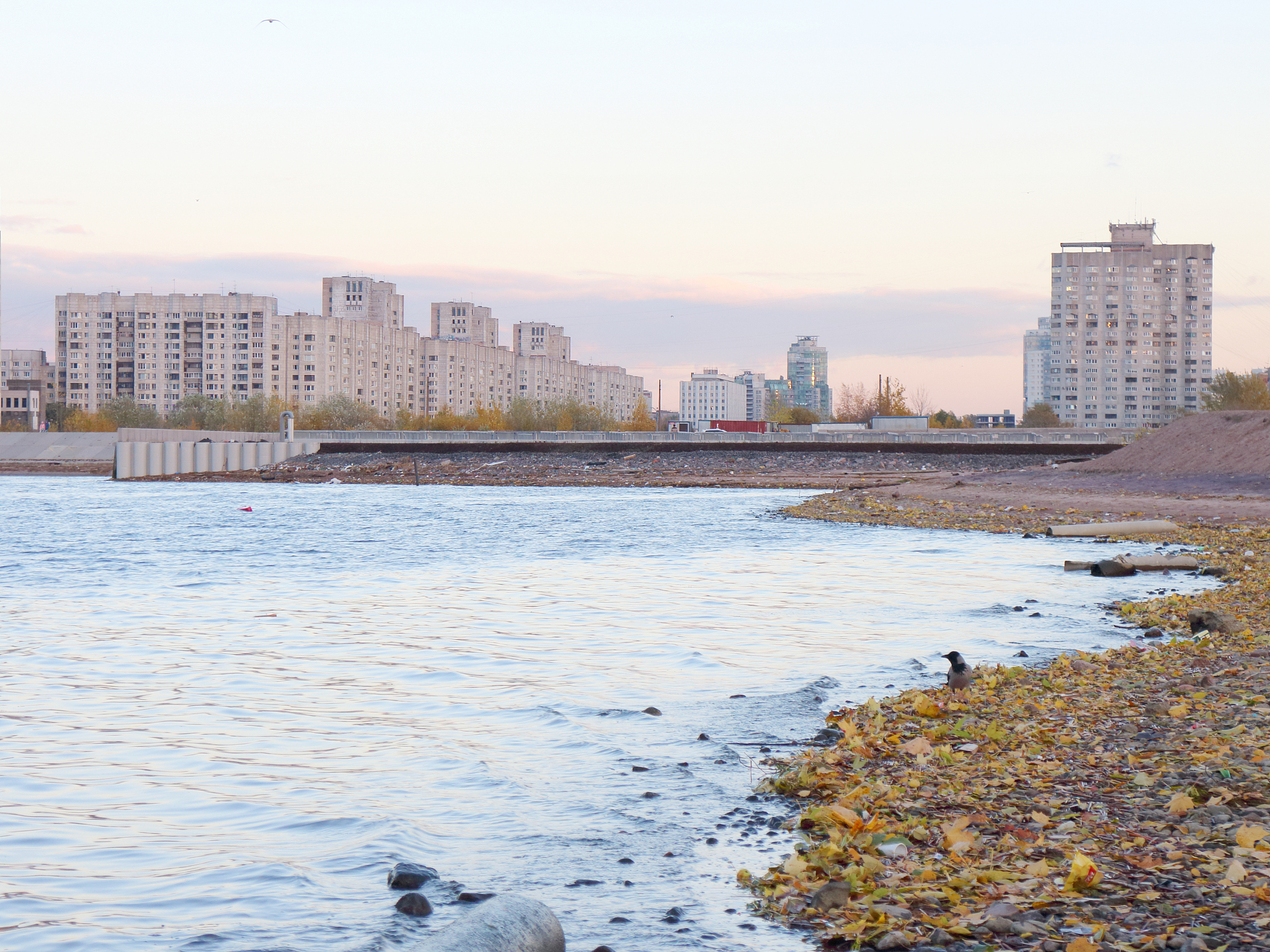 in a big city on the beach in the autumn at sunset