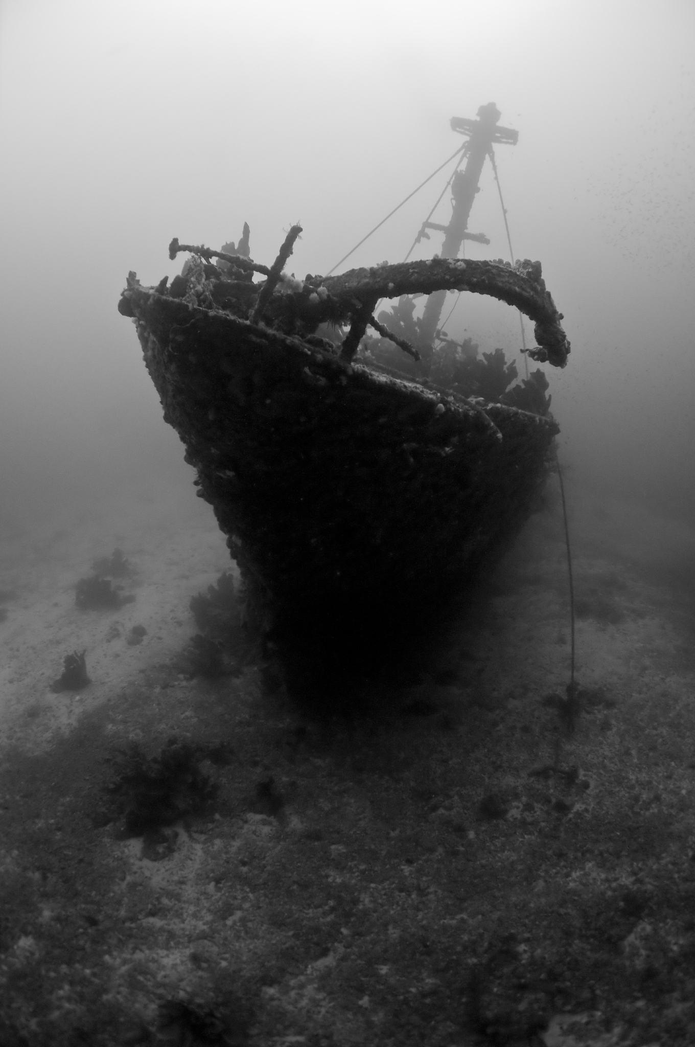 ghost ship
