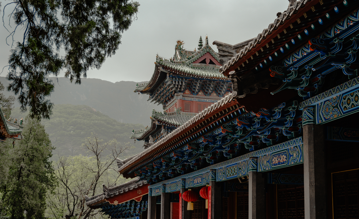 文化遗产保护与国际合作：共建人类文明的宝贵财富