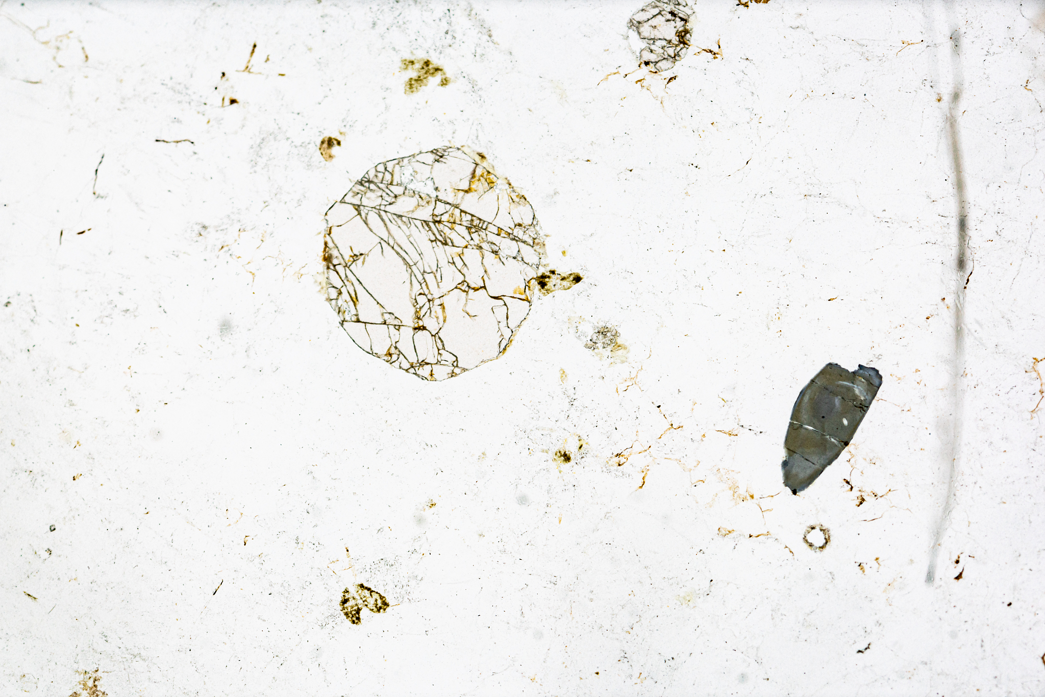 结晶提取高纯物质：温度调控技巧