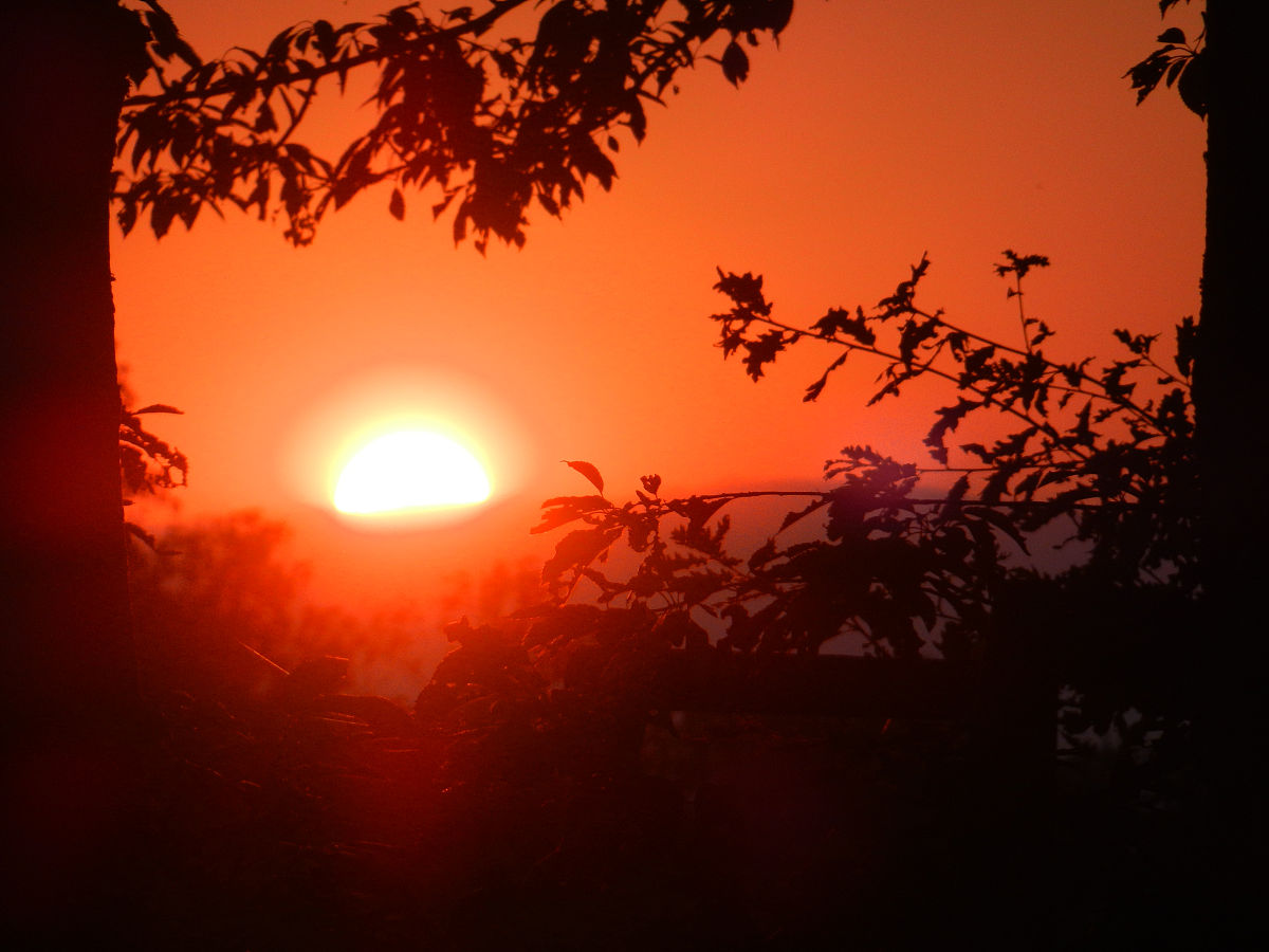 夕阳西下的诗句