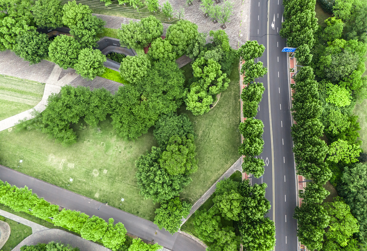 西安市东三环道路绿化植物选择与配置方法分析