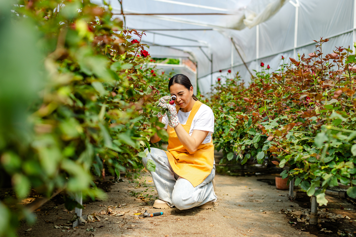 晋中职业技术学院园艺技术专业就业前景如何-怎么样